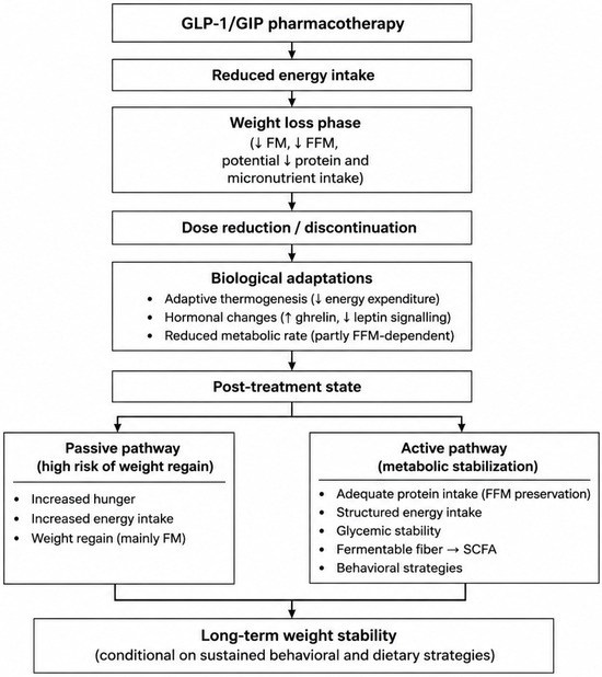 Restoring Satiety After GLP-1/GIP Pharmacotherapy: Metabolic Stability,  Diet Quality, and the Gut Microbiota