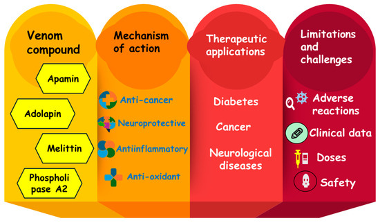 dihexa peptide cognitive enhancement mechanism benefits risks evidence Therapy The Peptide Craze - Ground