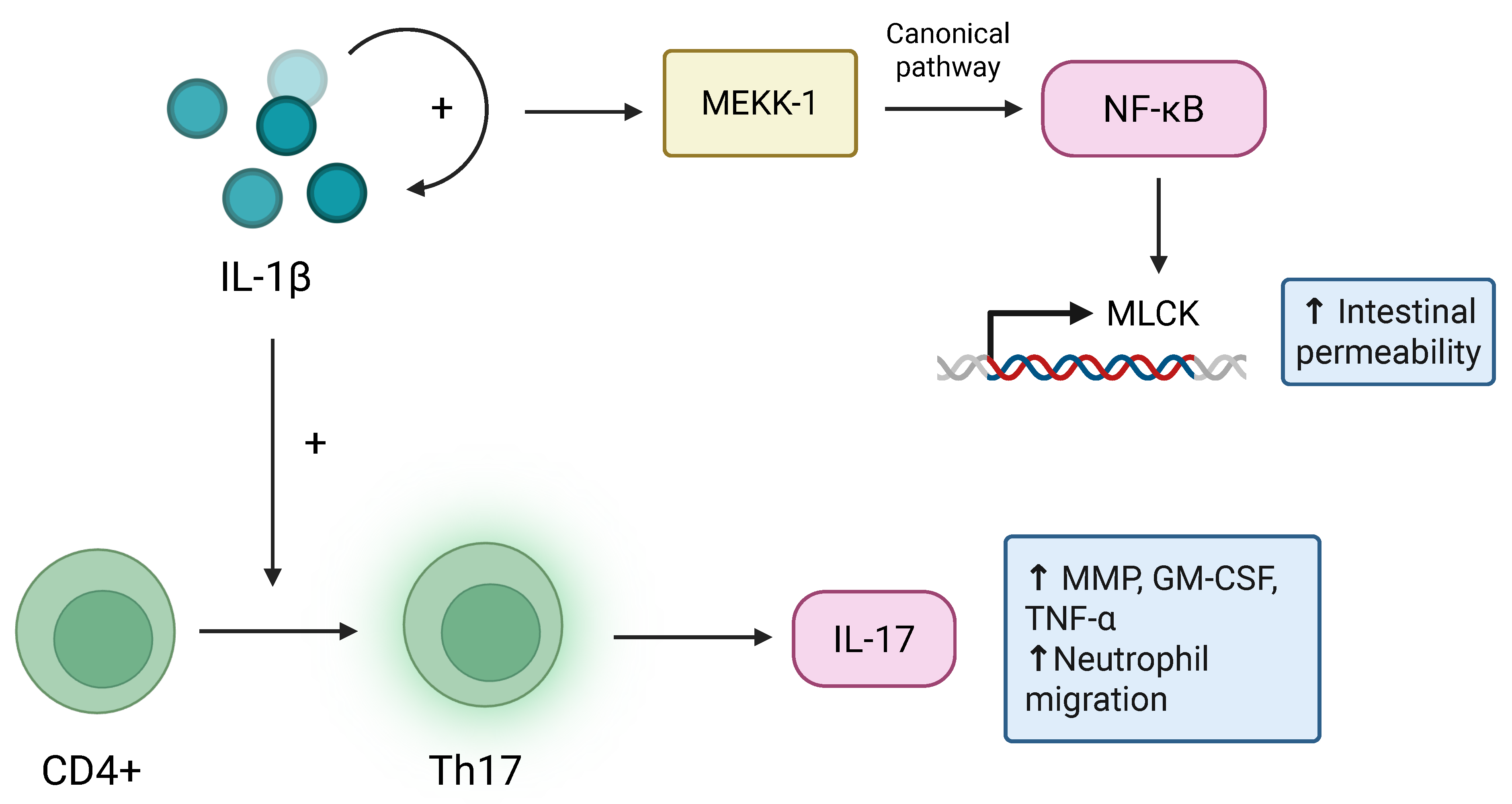Ijms 27 04754 g002
