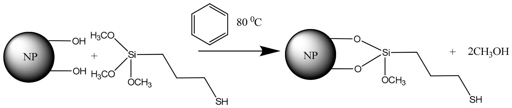 Ijms 27 04844 g011