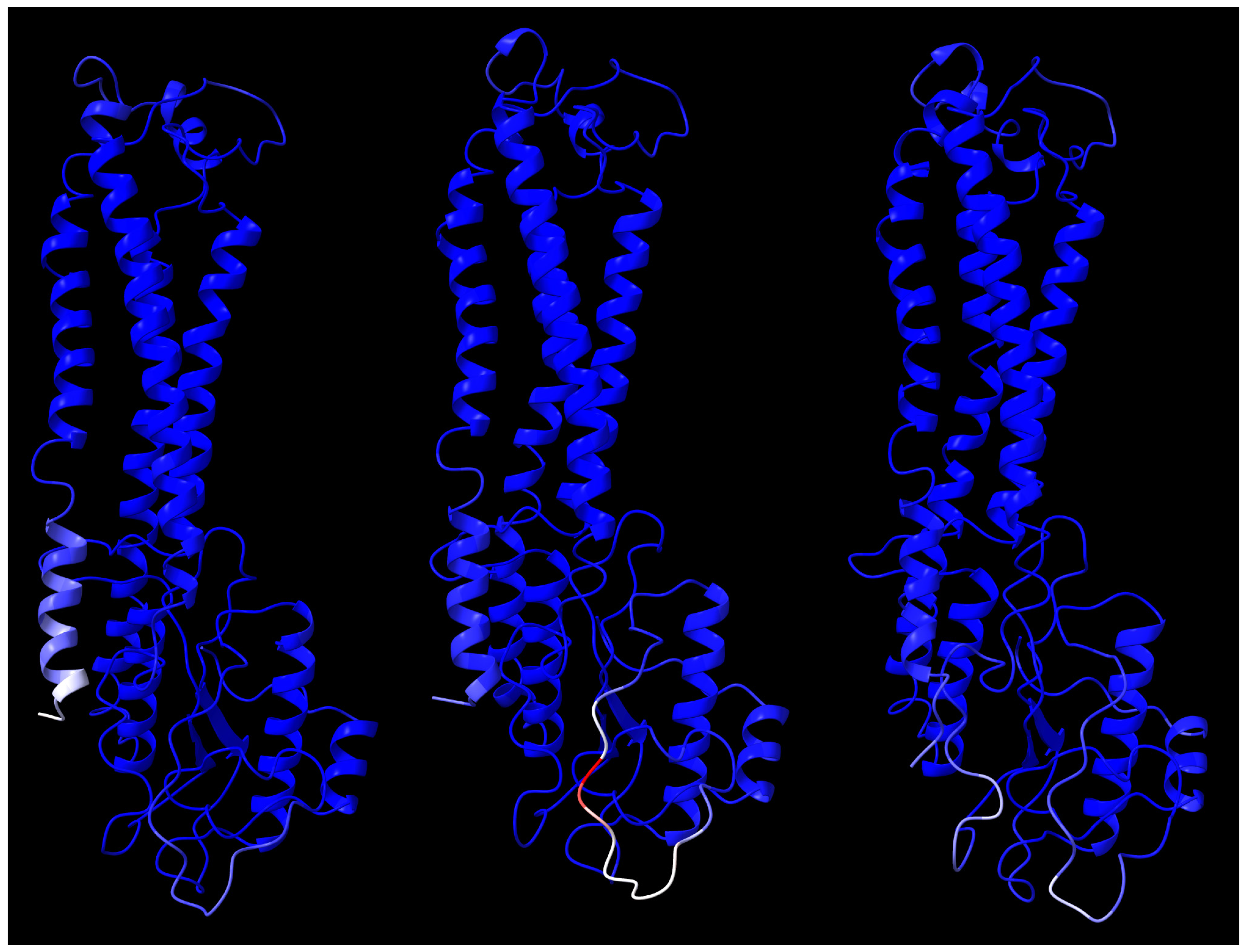 Ijms 27 05134 g010