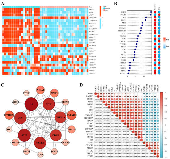Integrated Bulk and Single-Cell Transcriptomic Analysis Followed