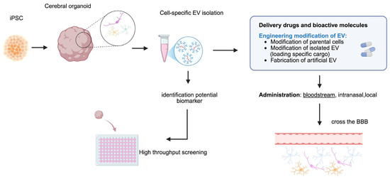 fake dr james glutathione pills The Dual Role of Glial Extracellular Vesicles in Neurodegeneration: Insights from iPSC-Based Models Berryman B-12 Chemtool Gasoline