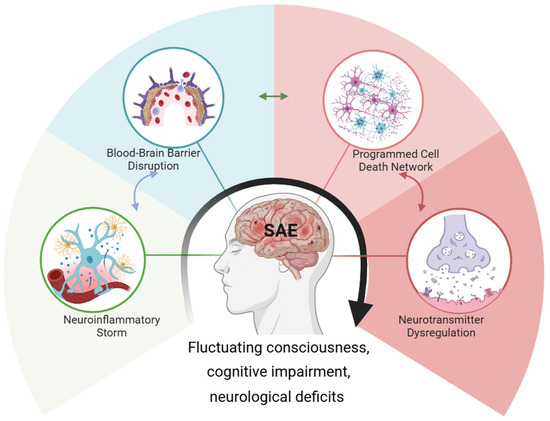 comt anxiety glutathione period bleeding forum Research Advances in the Pathogenesis of Sepsis-Associated Encephalopathy bpc-157 oral vs injection Scegli la Quantità:1 confezione hsa-fsa-eligible