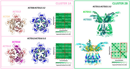 専用ページ(#648) A Global Analysis of the Complex Structural Organization of KCTD