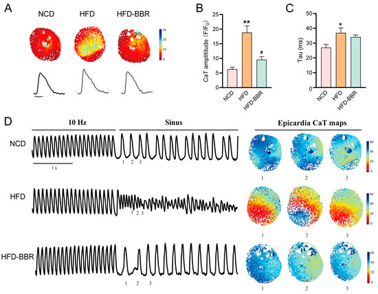 is glutathione good for asthma Berberine Stabilizes the Arrhythmogenic Substrate in Obese Rats by Klotho-Mediated Attenuation of Oxidative Stress and Inflammation