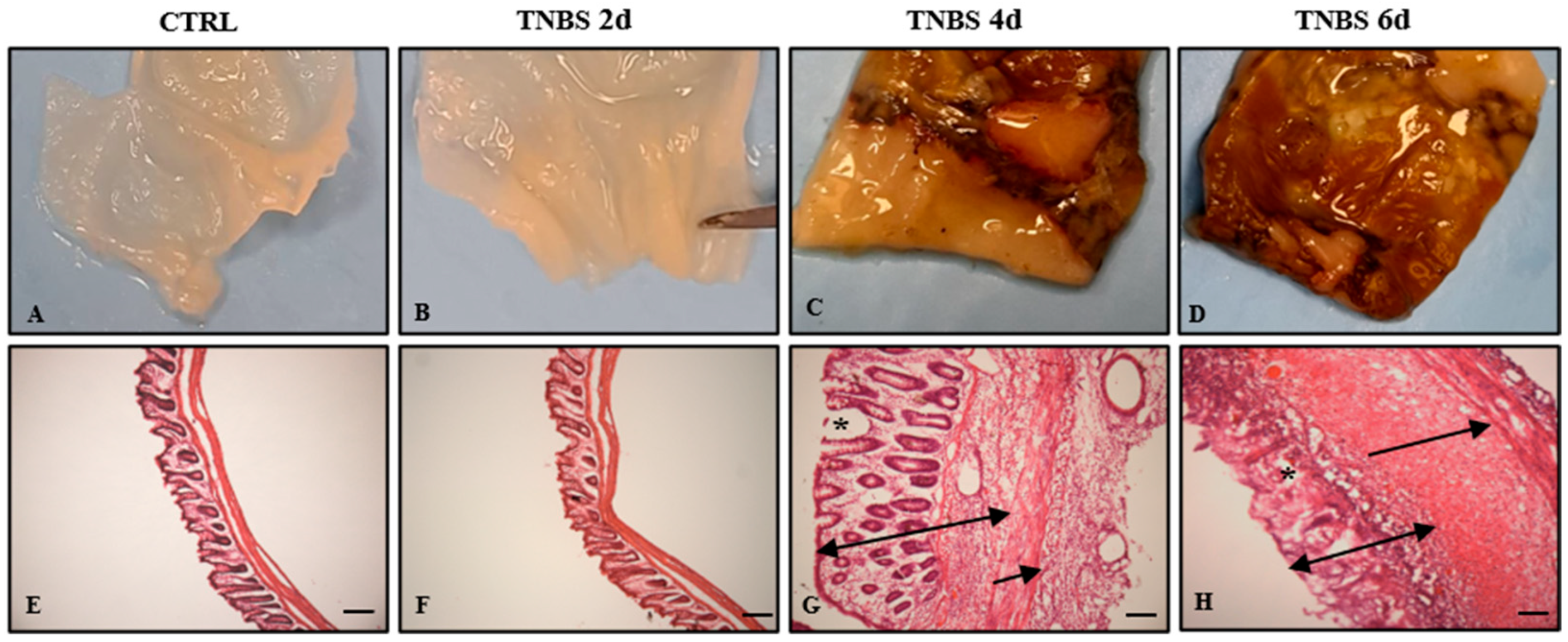 Ijms 27 05810 g001