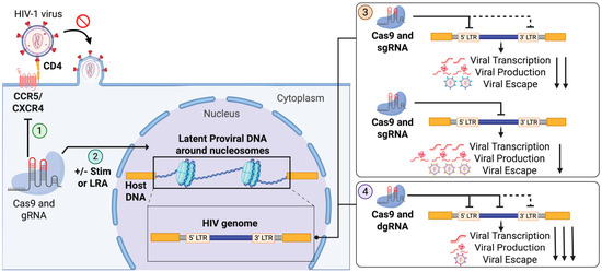 CRISPR/Cas9-Based Genome Editing: Understanding Differences in DNA