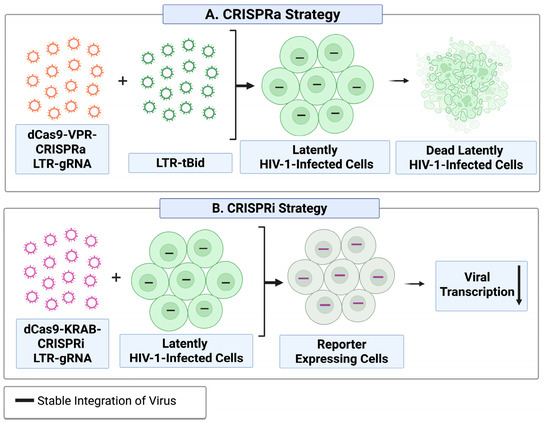 専用ページ170 CRISPR/Cas9-Based Genome Editing: Understanding Differences in DNA