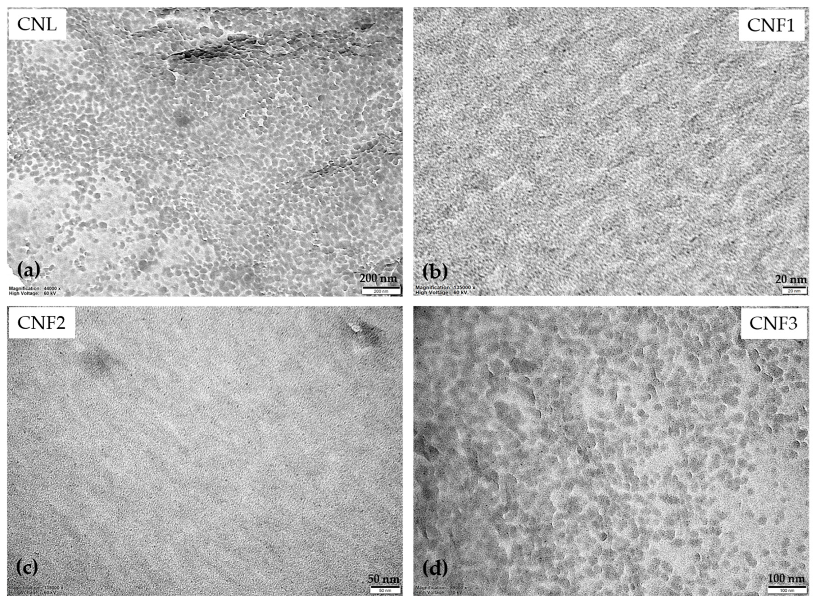 Ijms 27 05950 g002
