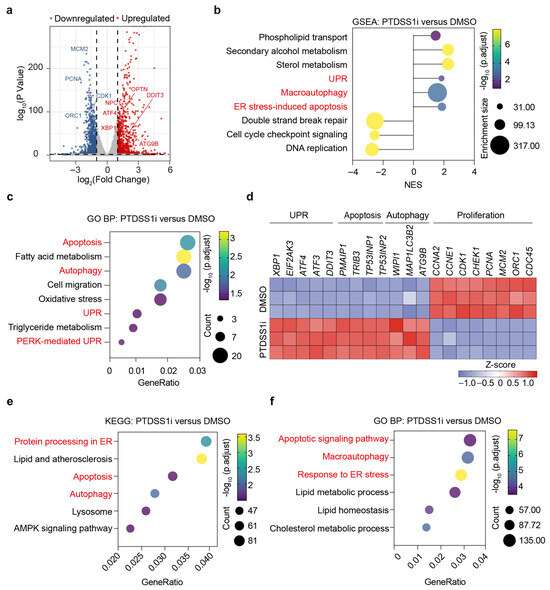 Targeting Phosphatidylserine Synthesis for Tumor Cell Suppression