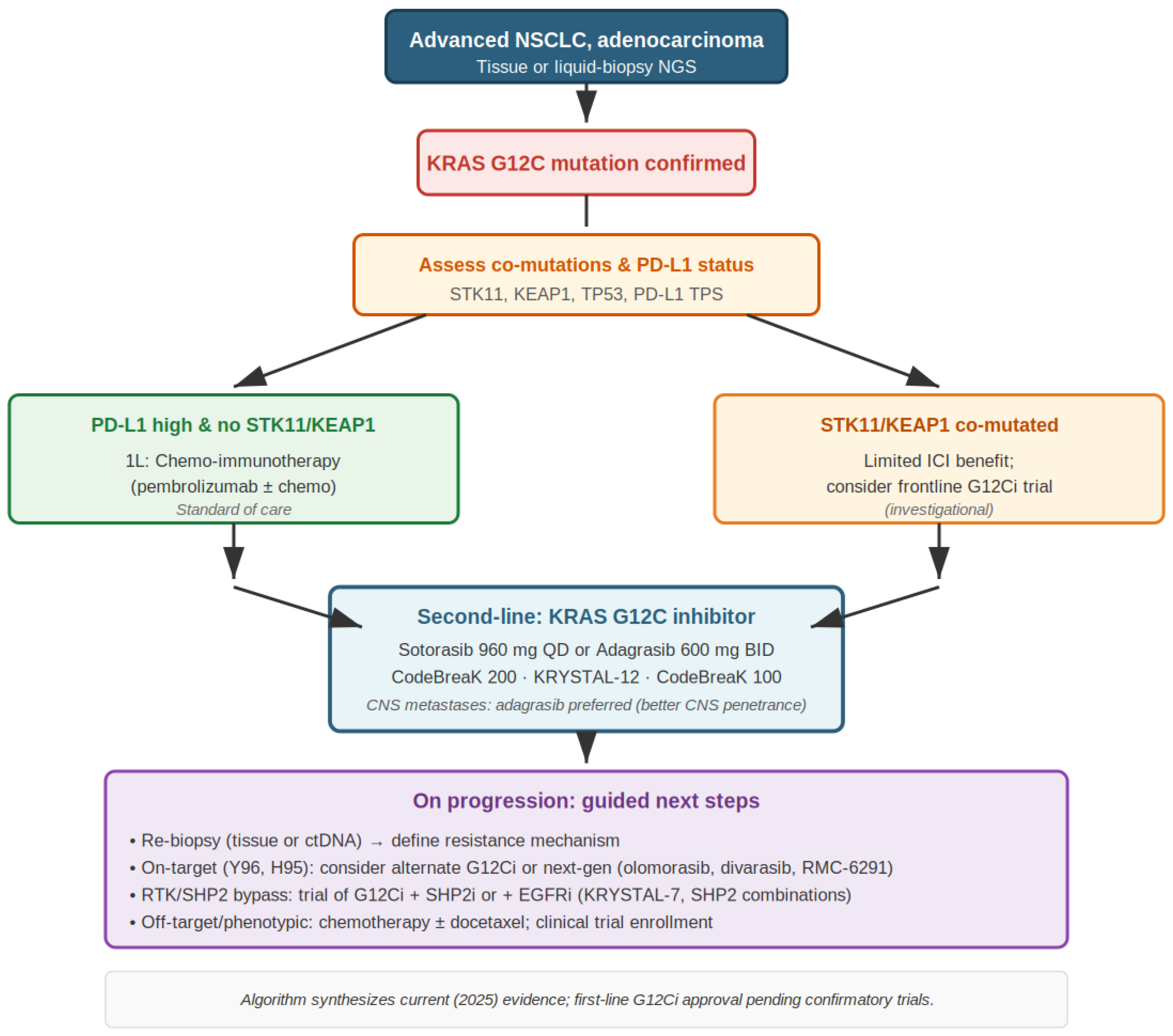 KRAS G12C–Targeted Therapy in Non-Small Cell Lung Cancer: From