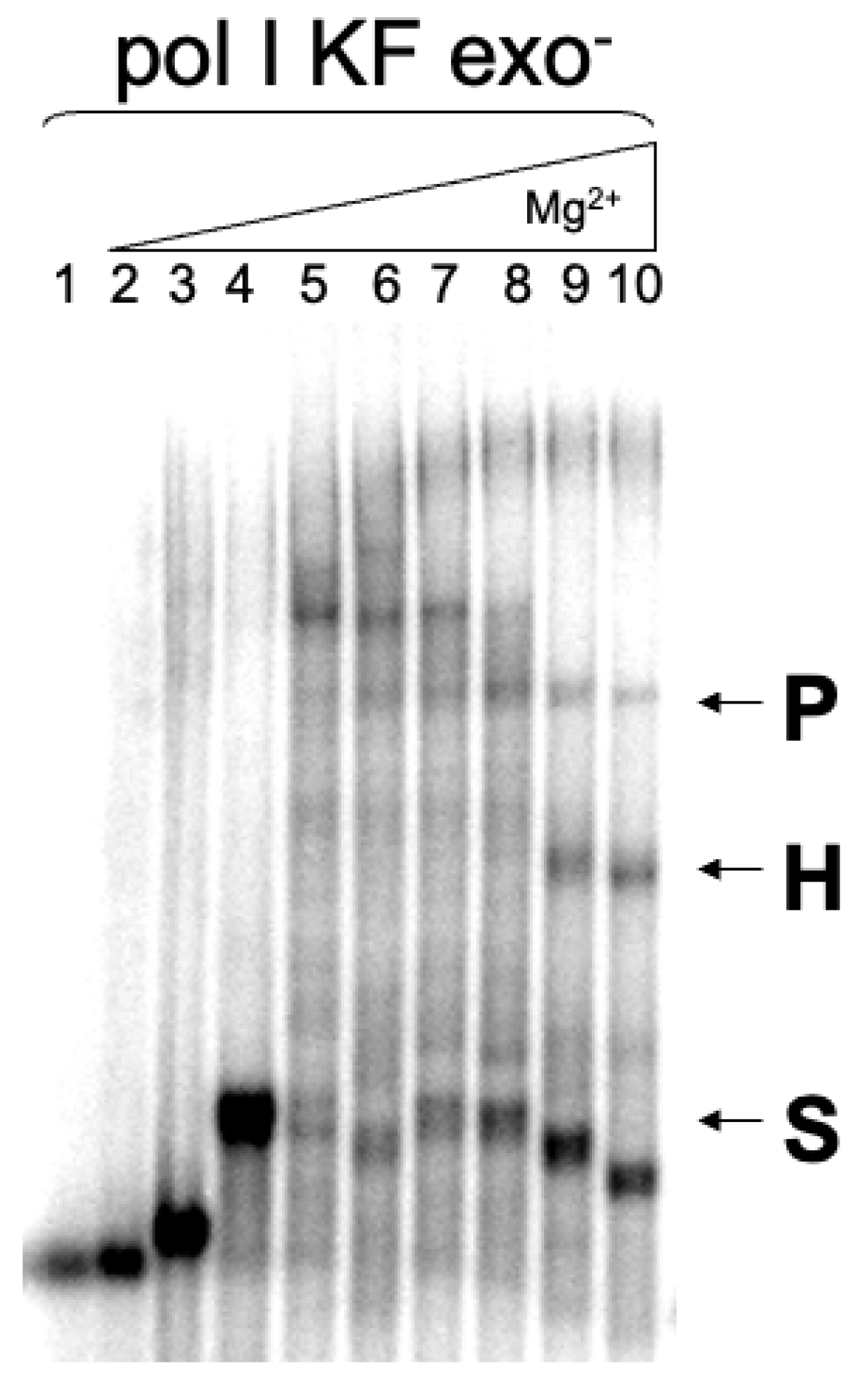 Ijms 27 06600 g003