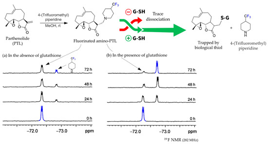 Structural Modification of Sesquiterpene Lactones via Michael Addition: Improved Bioactivity and Pharmacokinetics