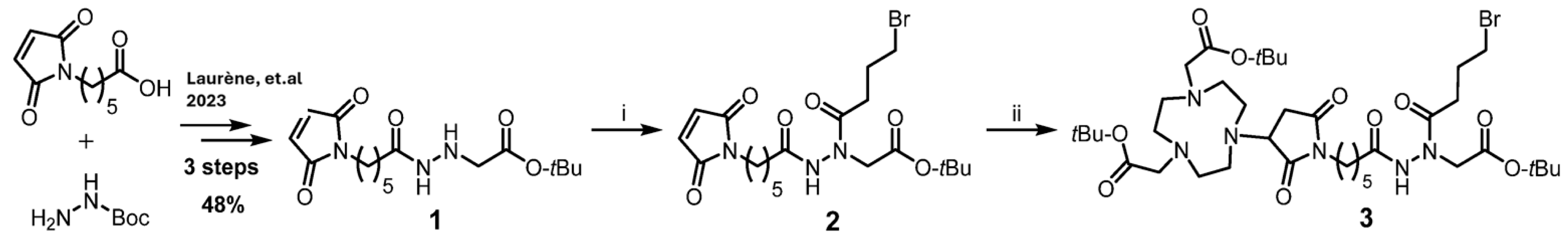 Ijms 27 07421 sch002 Ijms 27 07421 sch002