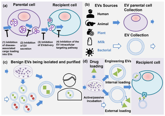 Extracellular Vesicle-Mediated Local and Systemic Communication in
