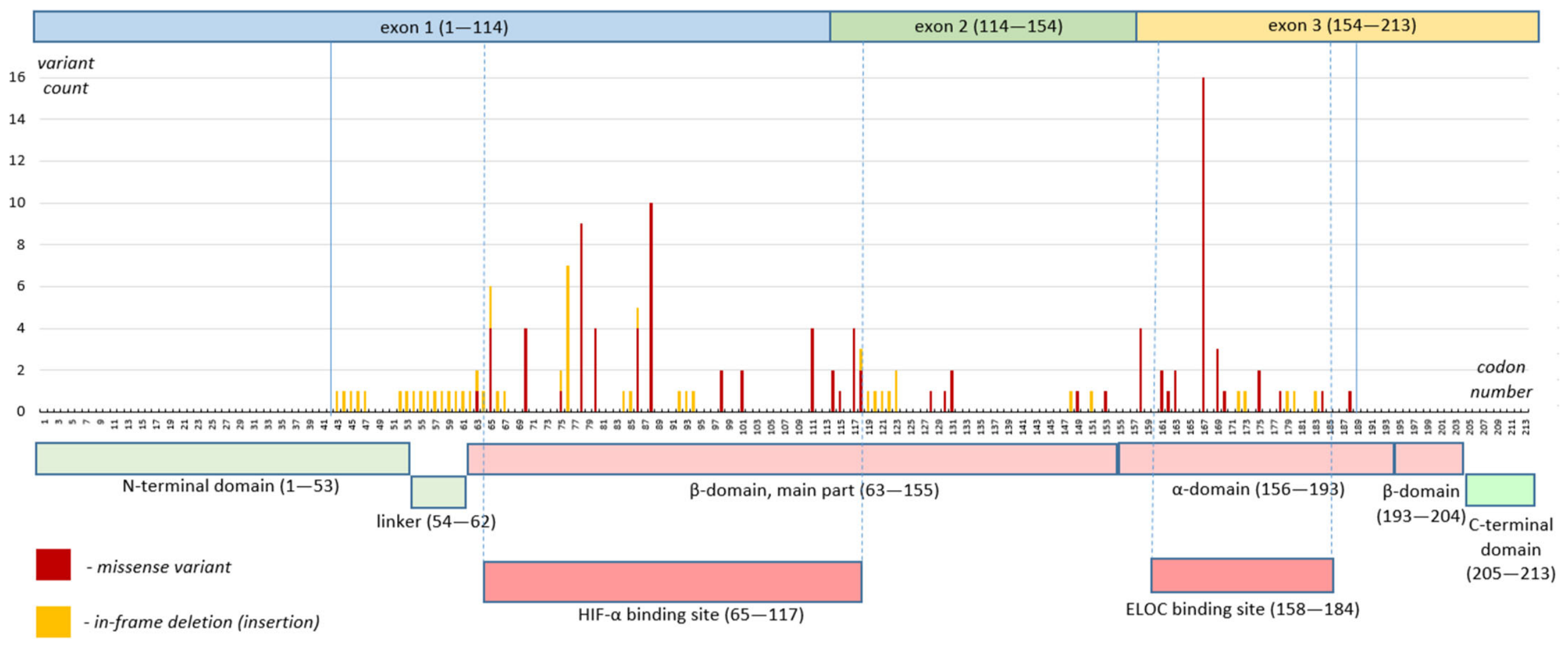 Ijms 27 08804 g006 Ijms 27 08804 g006