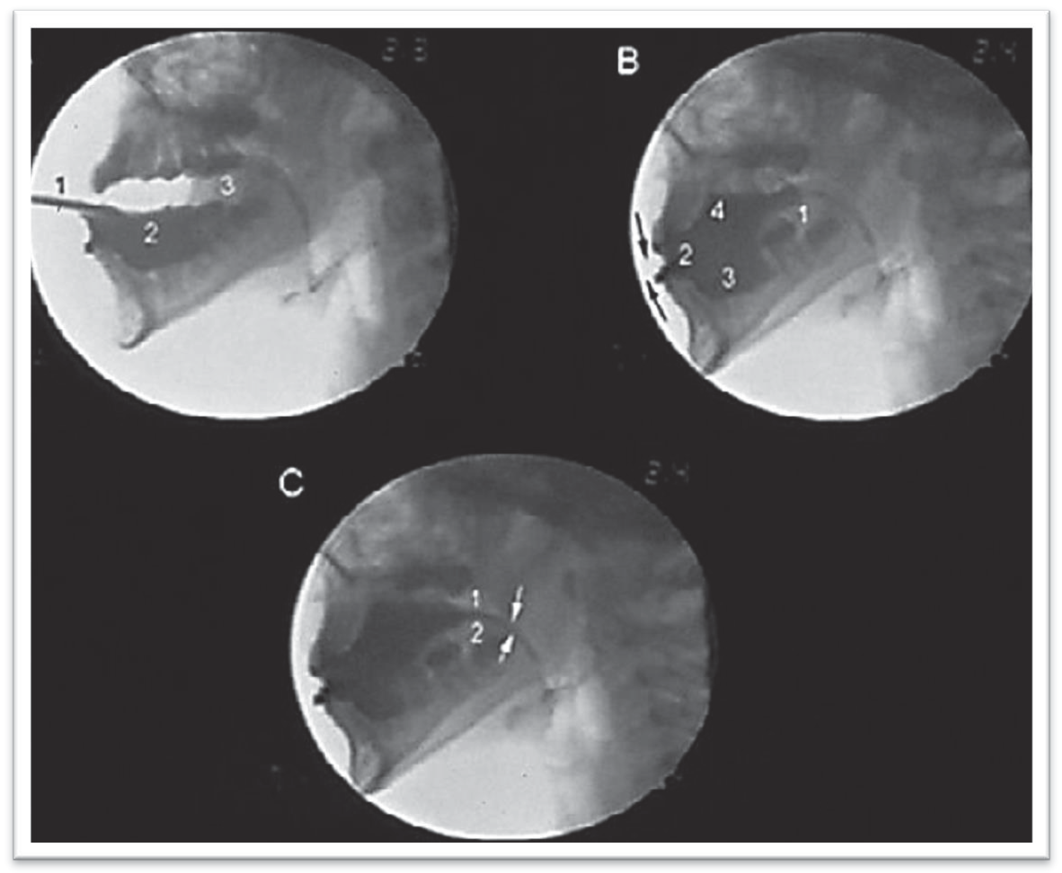 Ijom 39 00054 g005 Ijom 39 00054 g005
