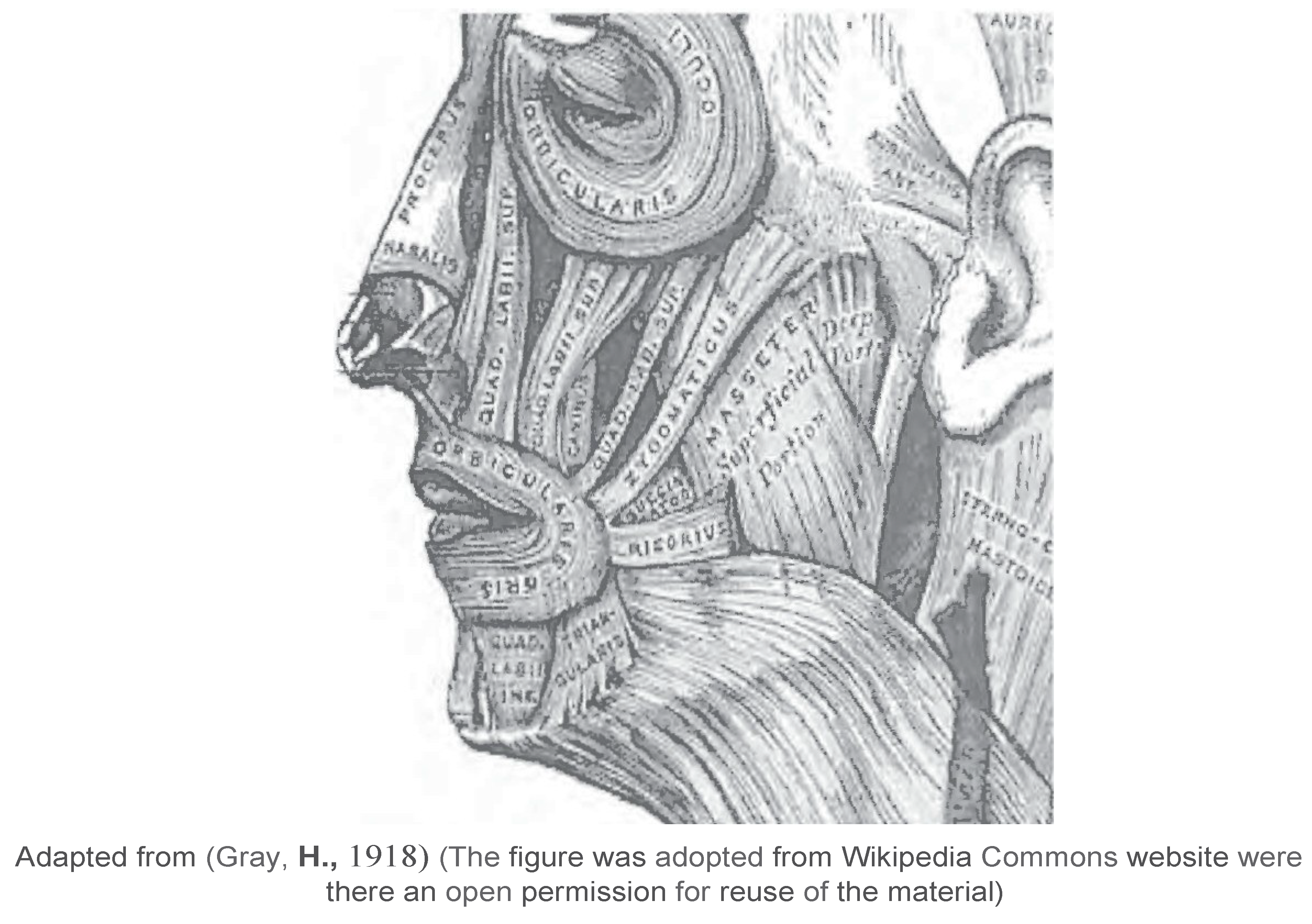 Ijom 40 00012 g001 Ijom 40 00012 g001