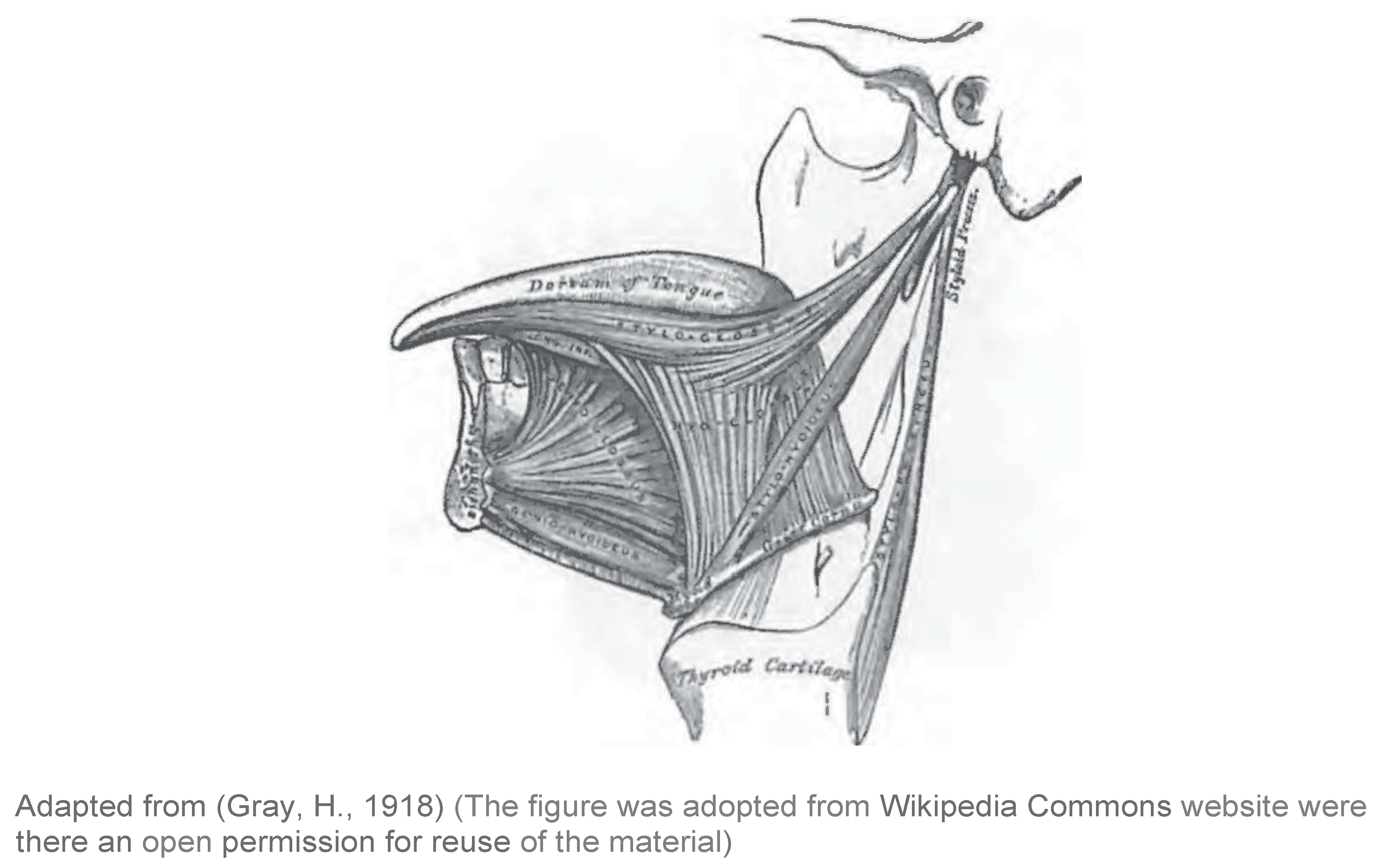 Ijom 40 00012 g002 Ijom 40 00012 g002