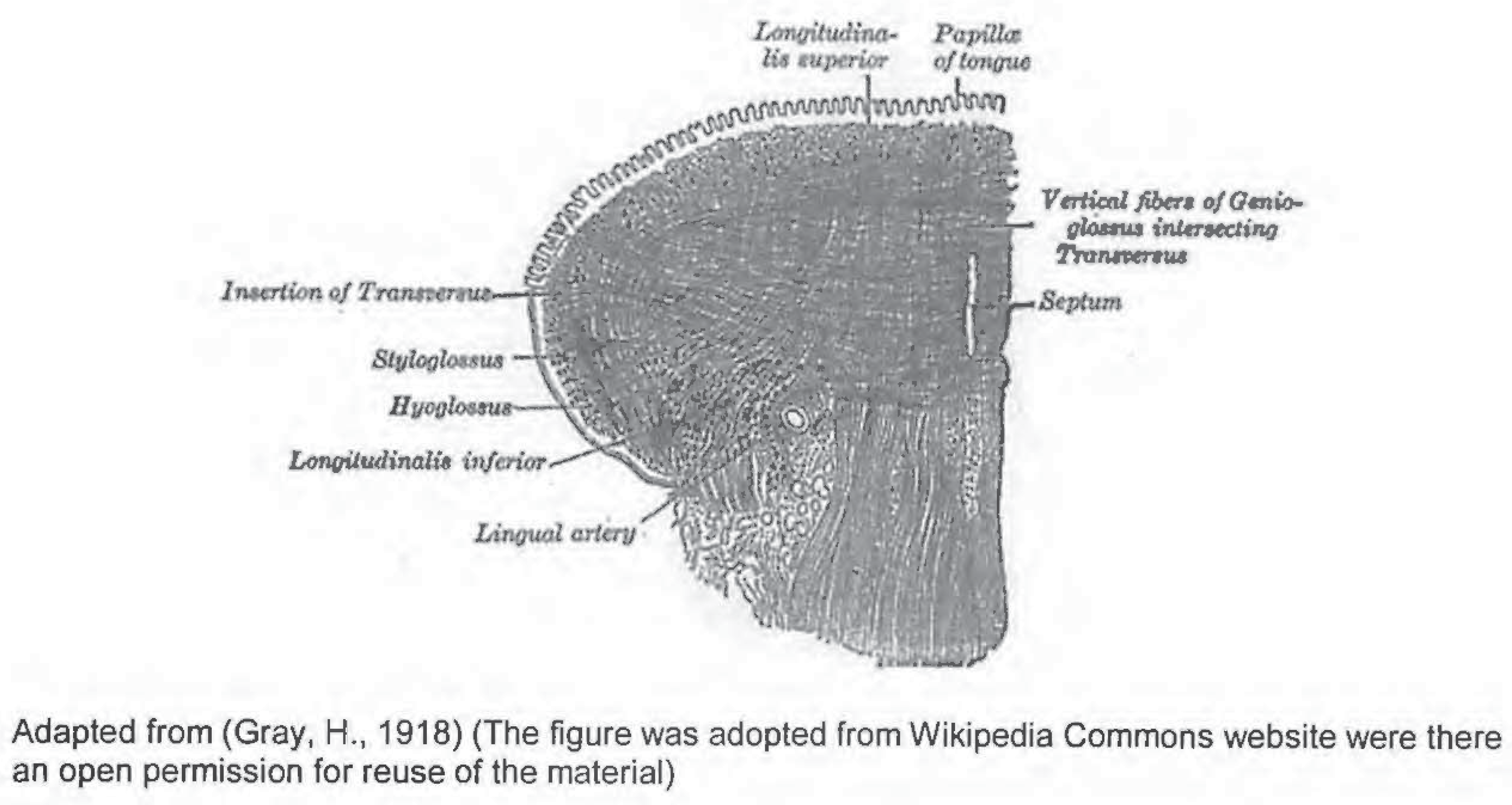 Ijom 40 00012 g003 Ijom 40 00012 g003