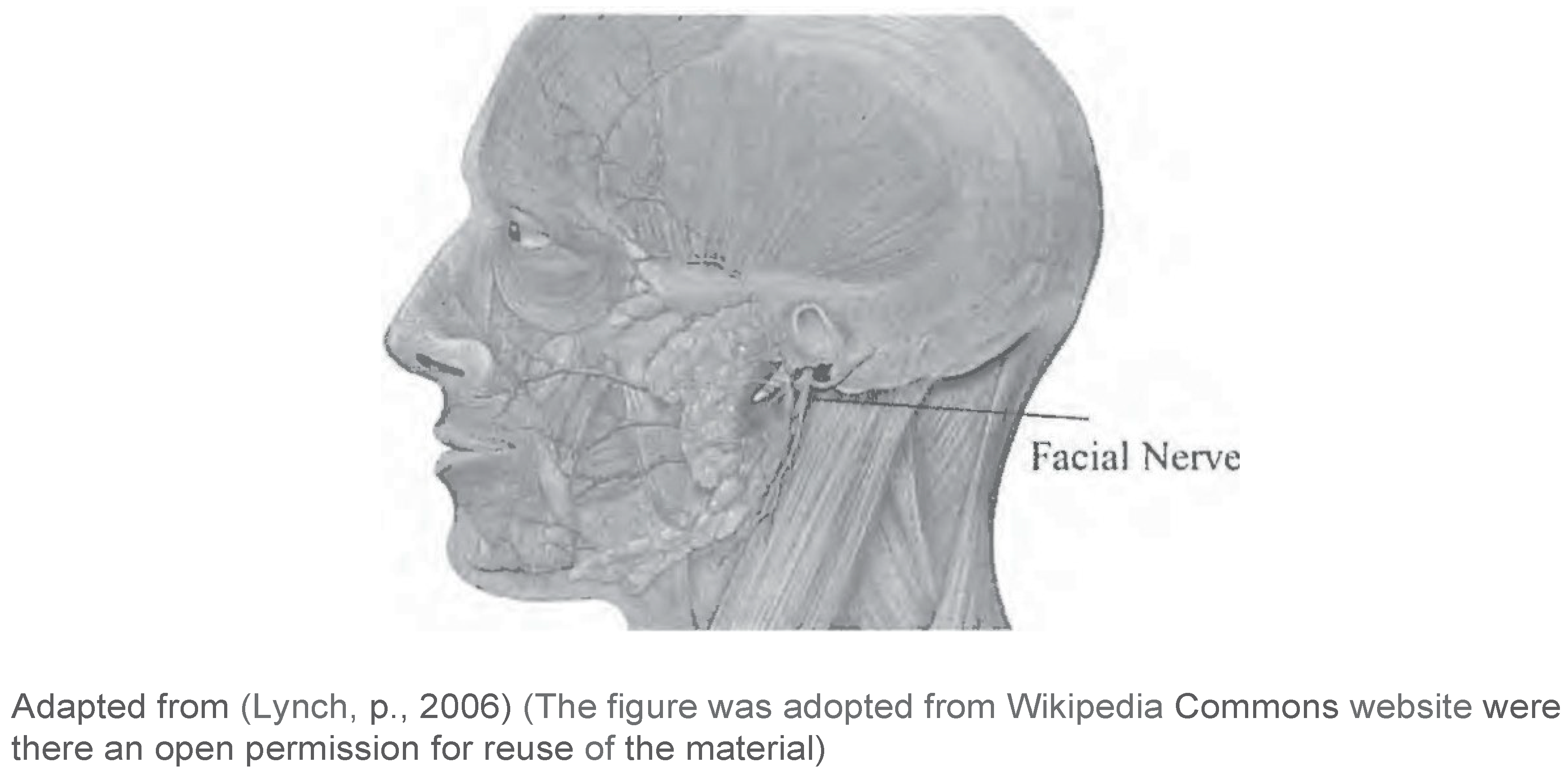 Ijom 40 00012 g004 Ijom 40 00012 g004