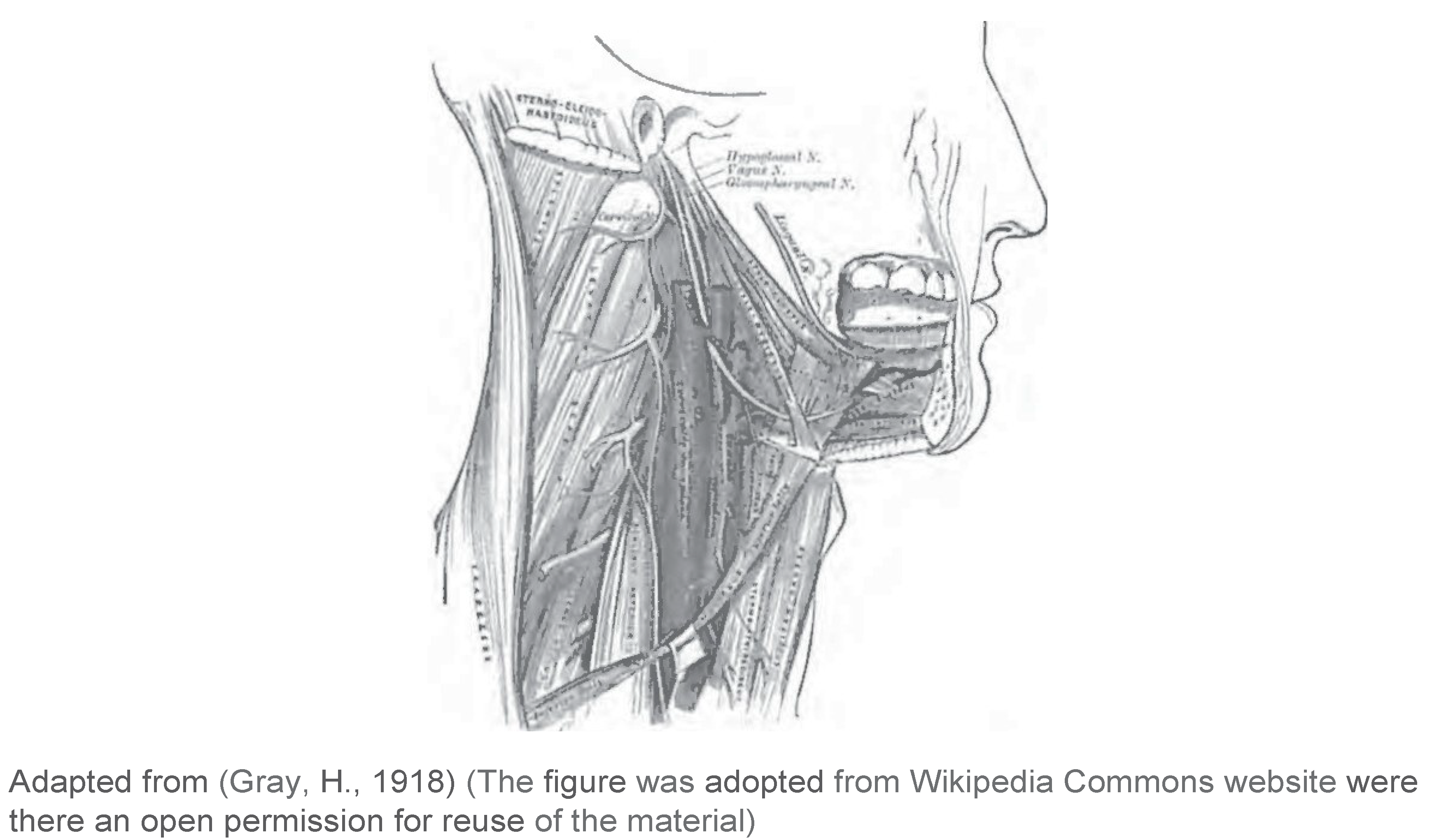 Ijom 40 00012 g005 Ijom 40 00012 g005