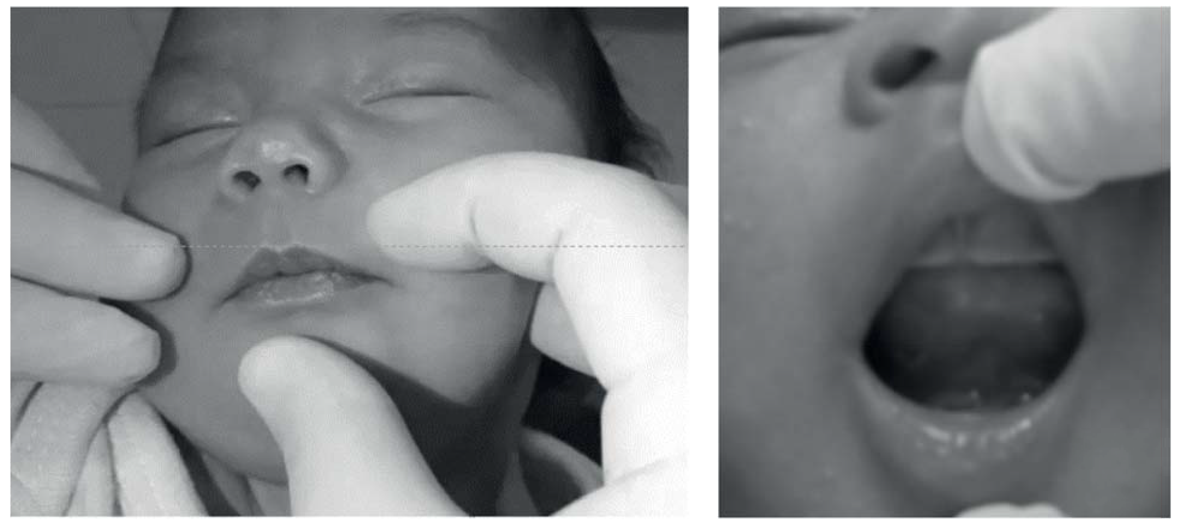 Ijom 42 00043 g001 Ijom 42 00043 g001