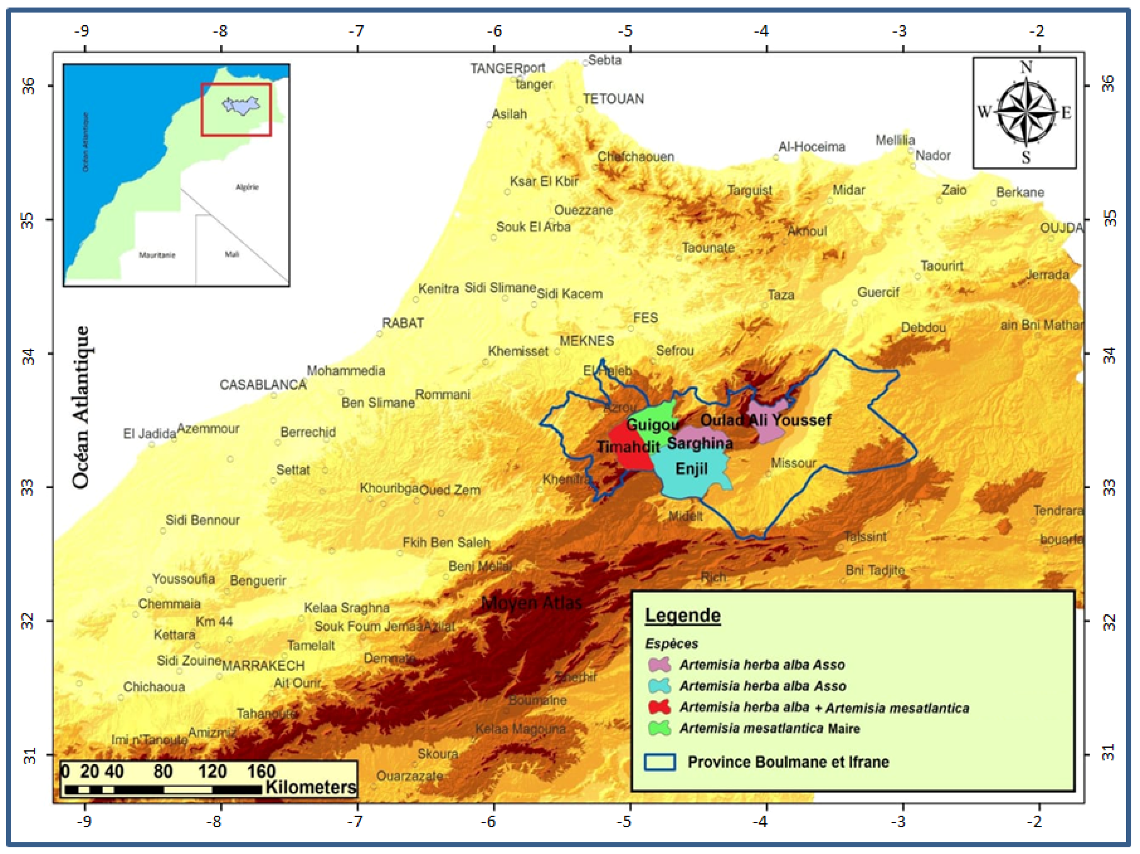 Ijpb 13 00007 g001 550