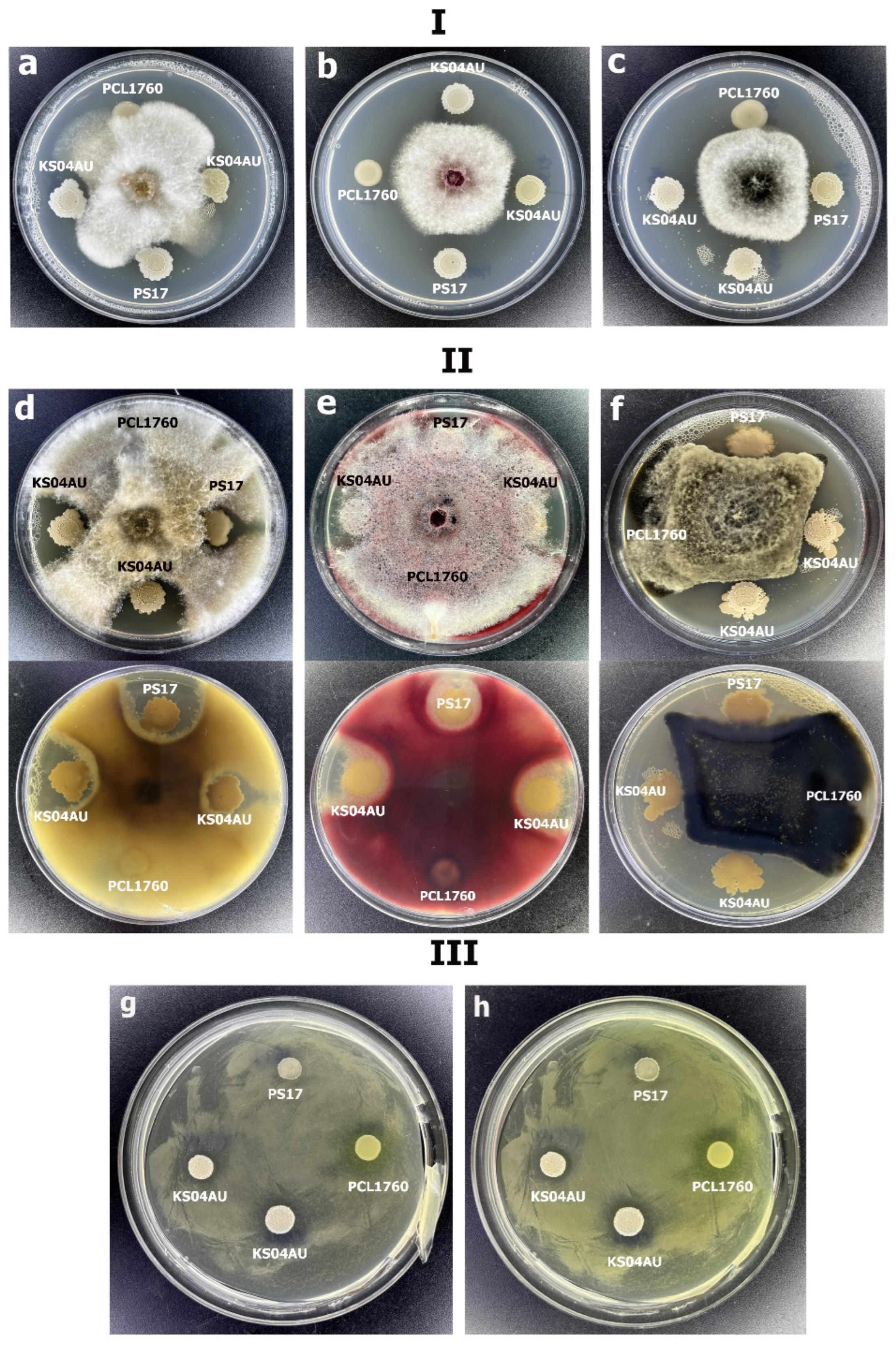 Ijpb 13 00018 g009 Ijpb 13 00018 g009