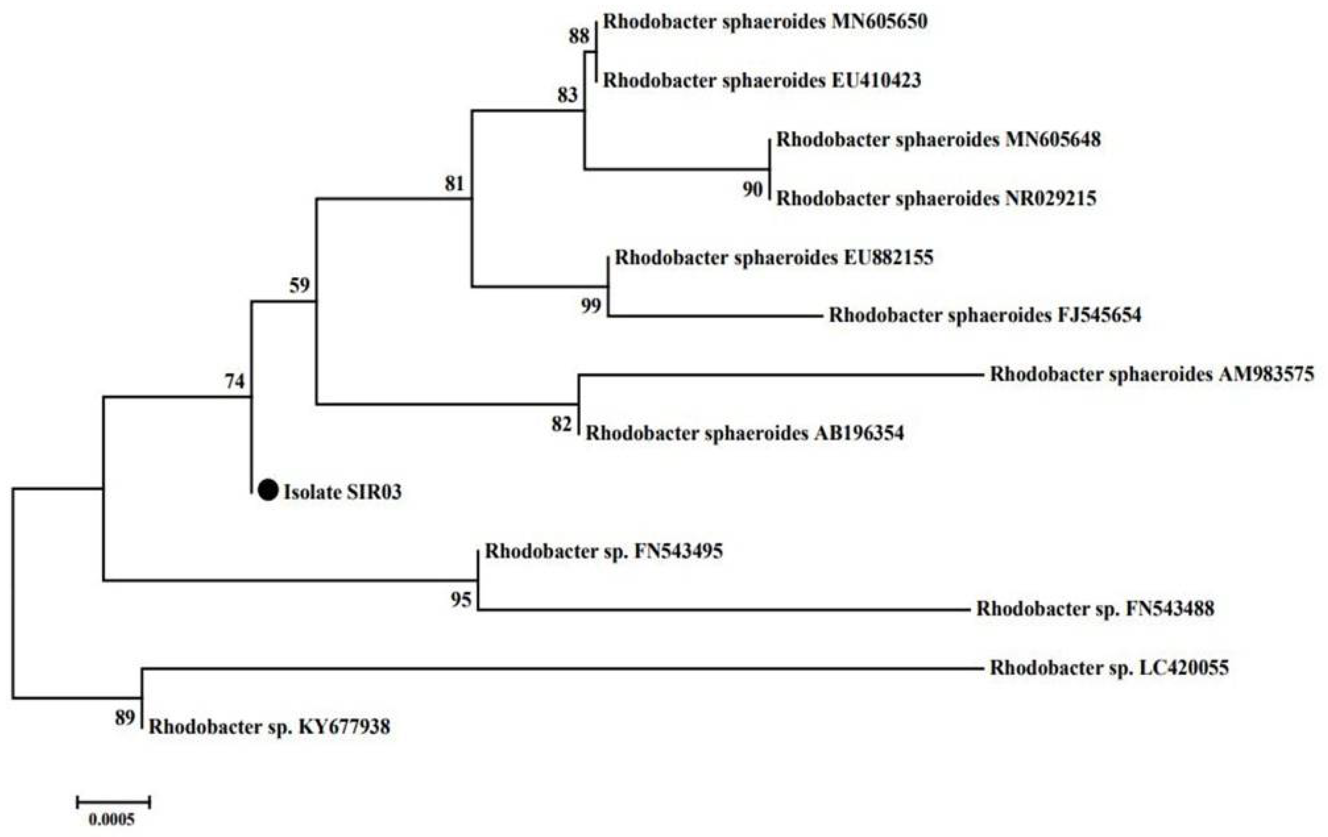 Ijpb 13 00022 g003 Ijpb 13 00022 g003