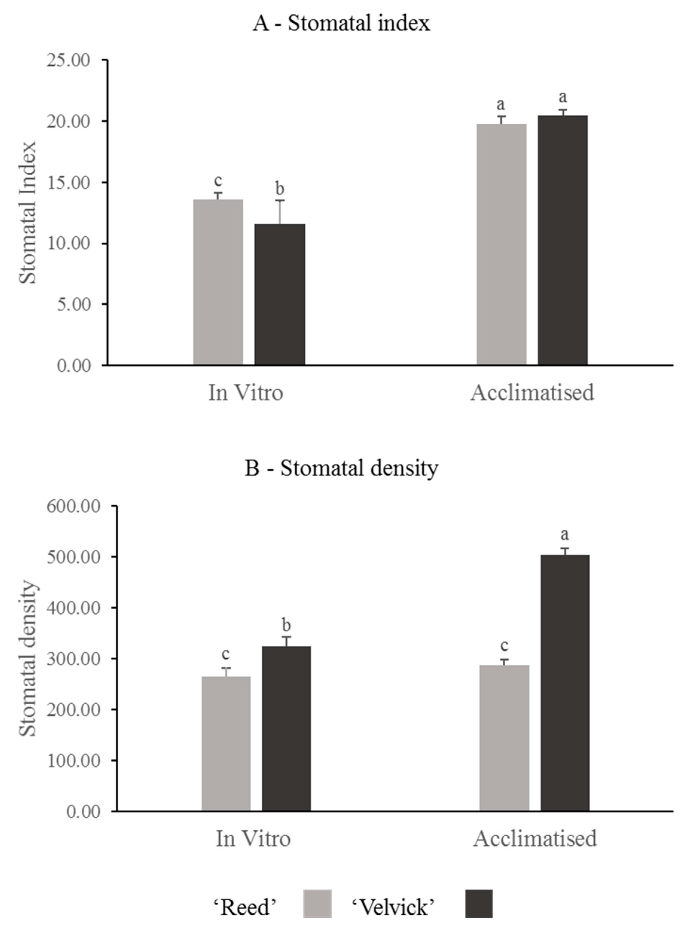 Ijpb 13 00035 g005 Ijpb 13 00035 g005