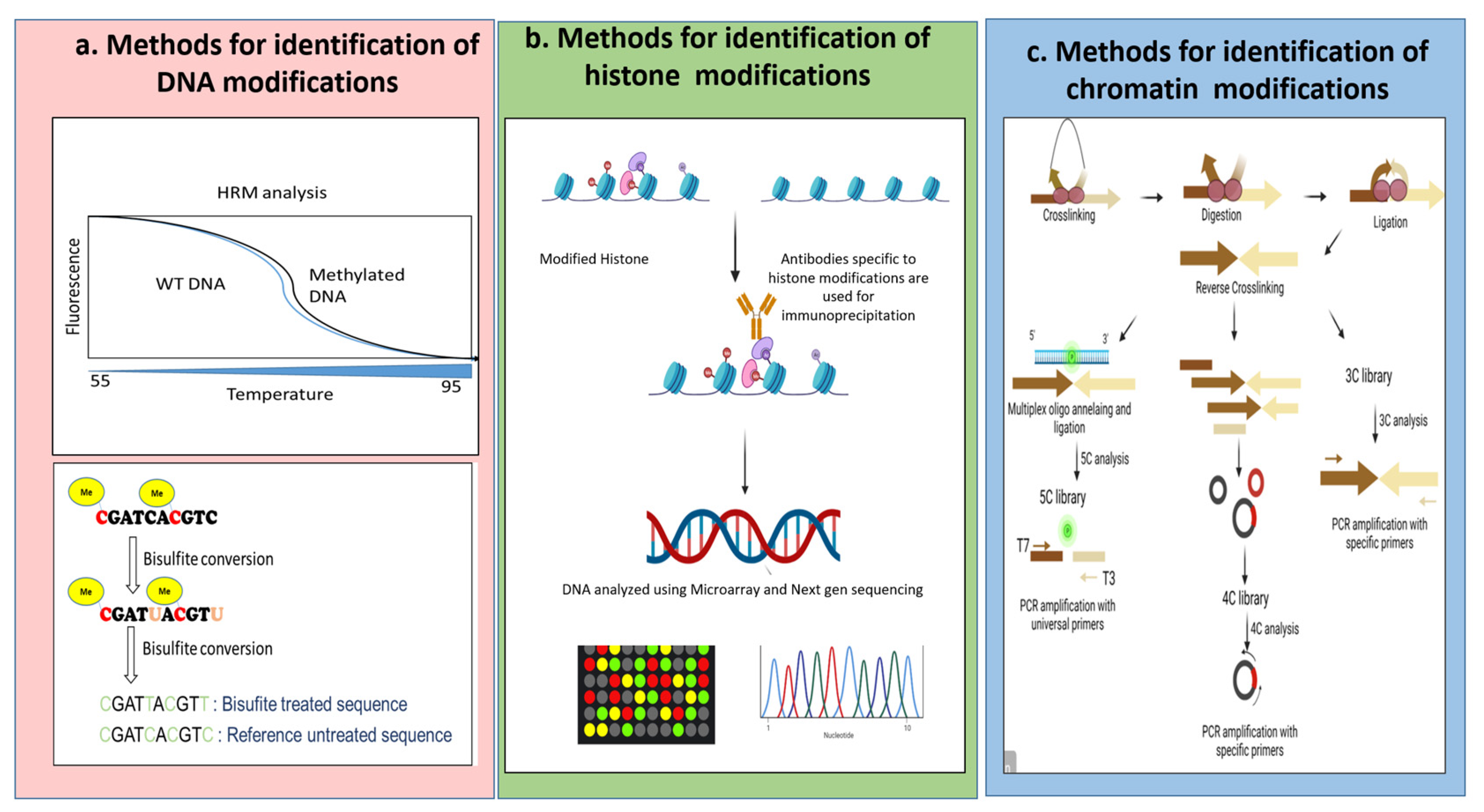 Ijpb 13 00036 g001 Ijpb 13 00036 g001