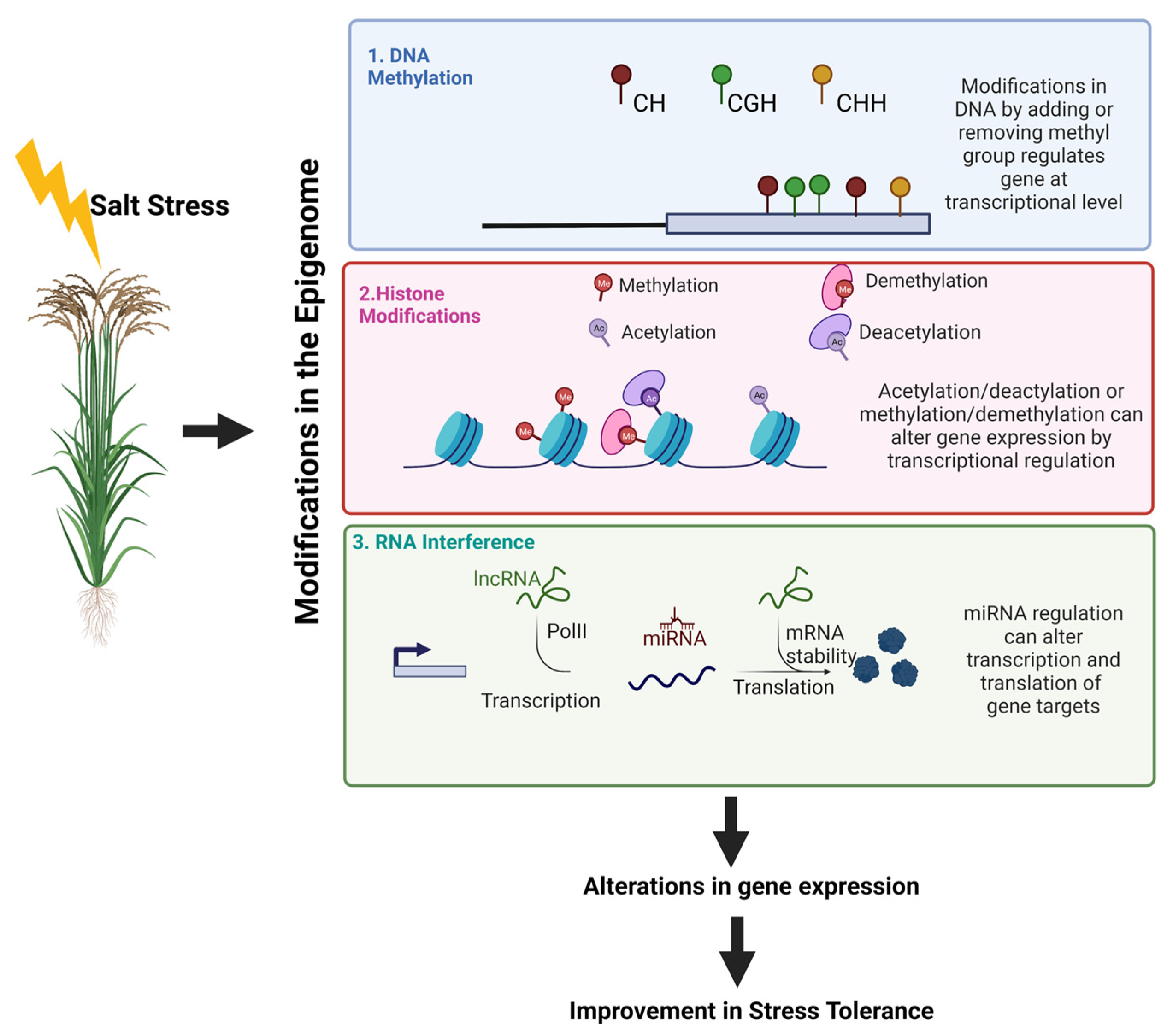 Ijpb 13 00036 g002 Ijpb 13 00036 g002