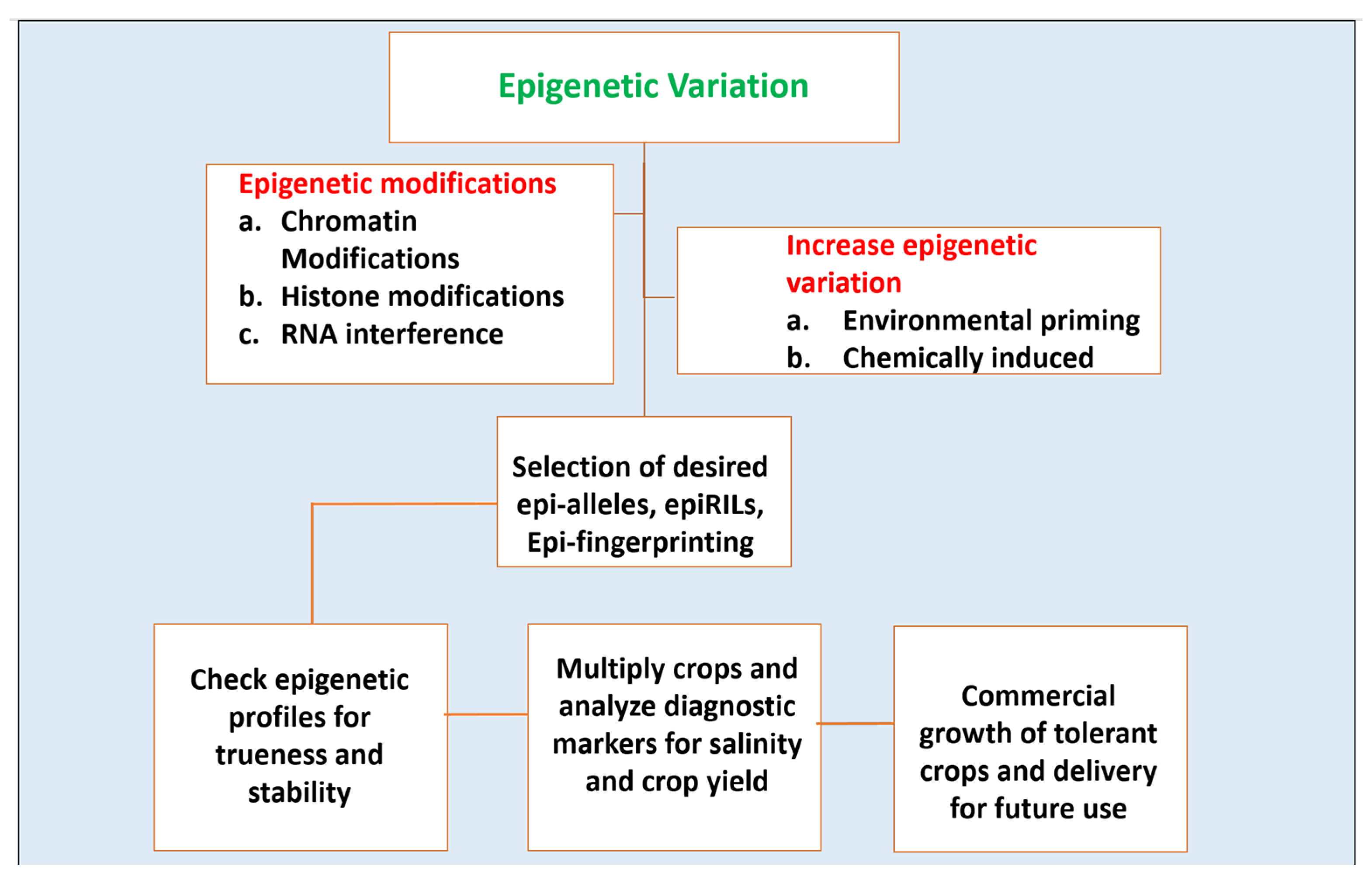 Ijpb 13 00036 g003 Ijpb 13 00036 g003