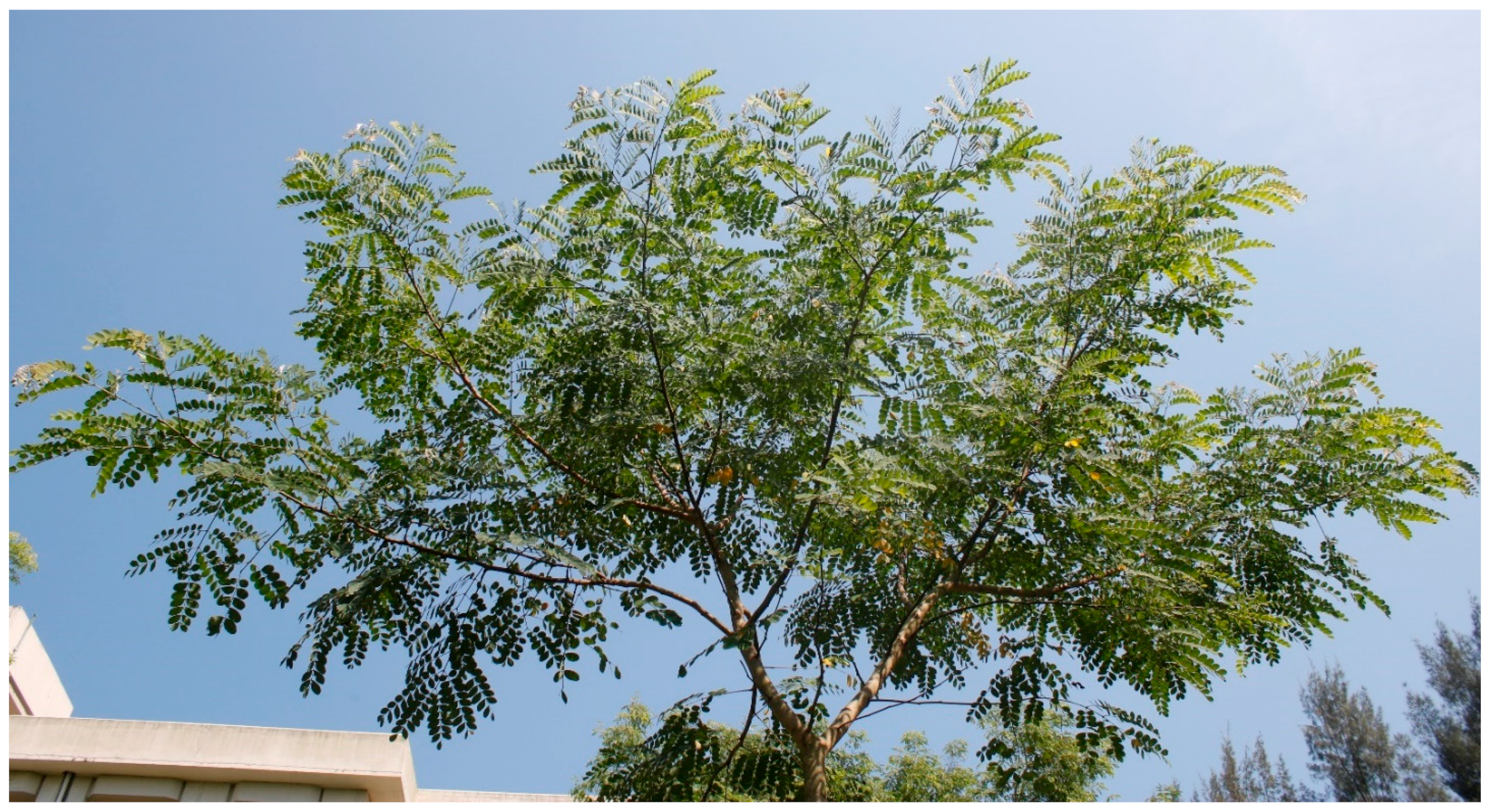 Ijpb 13 00042 g001 Ijpb 13 00042 g001