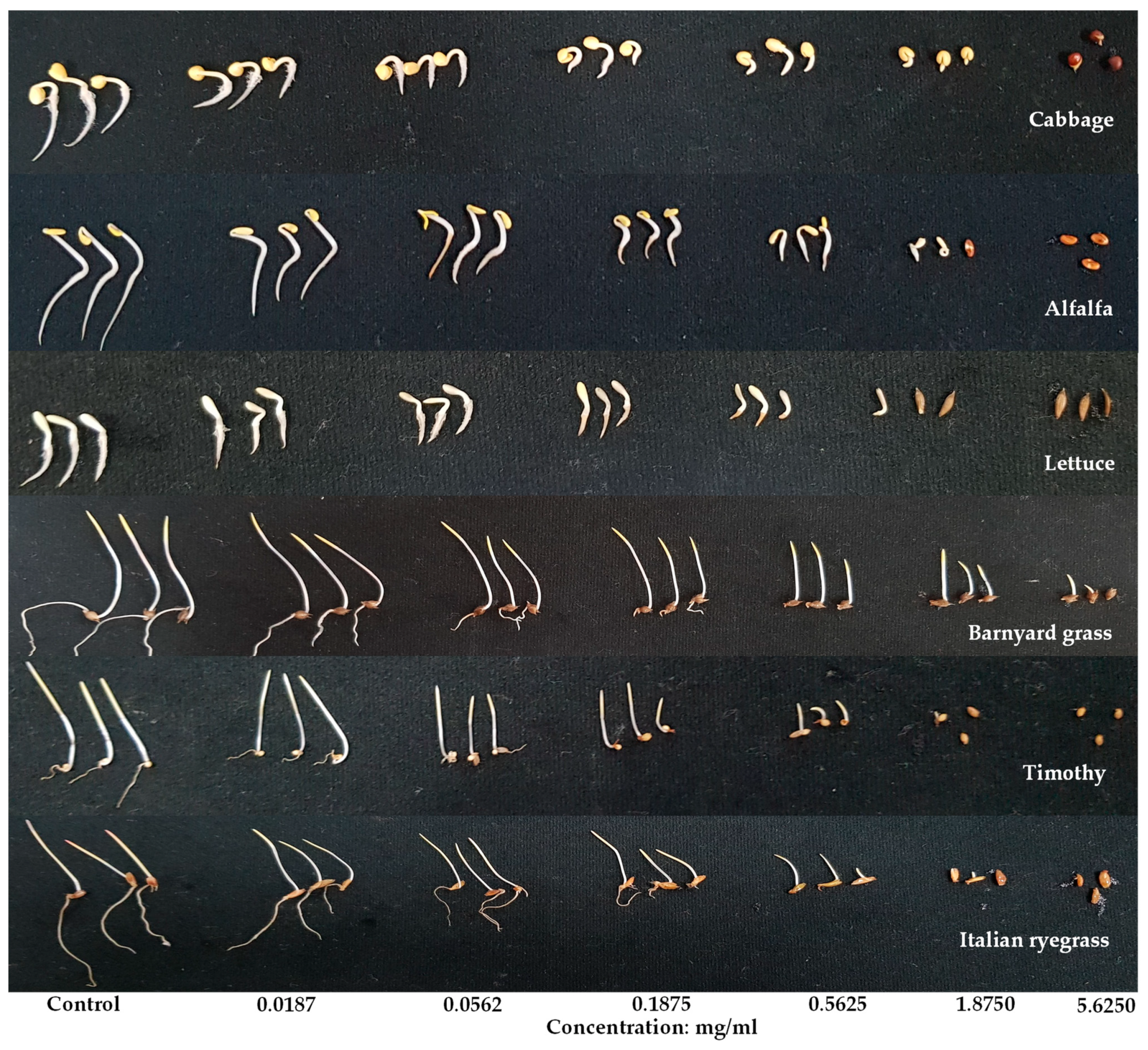 Ijpb 13 00042 g002 Ijpb 13 00042 g002