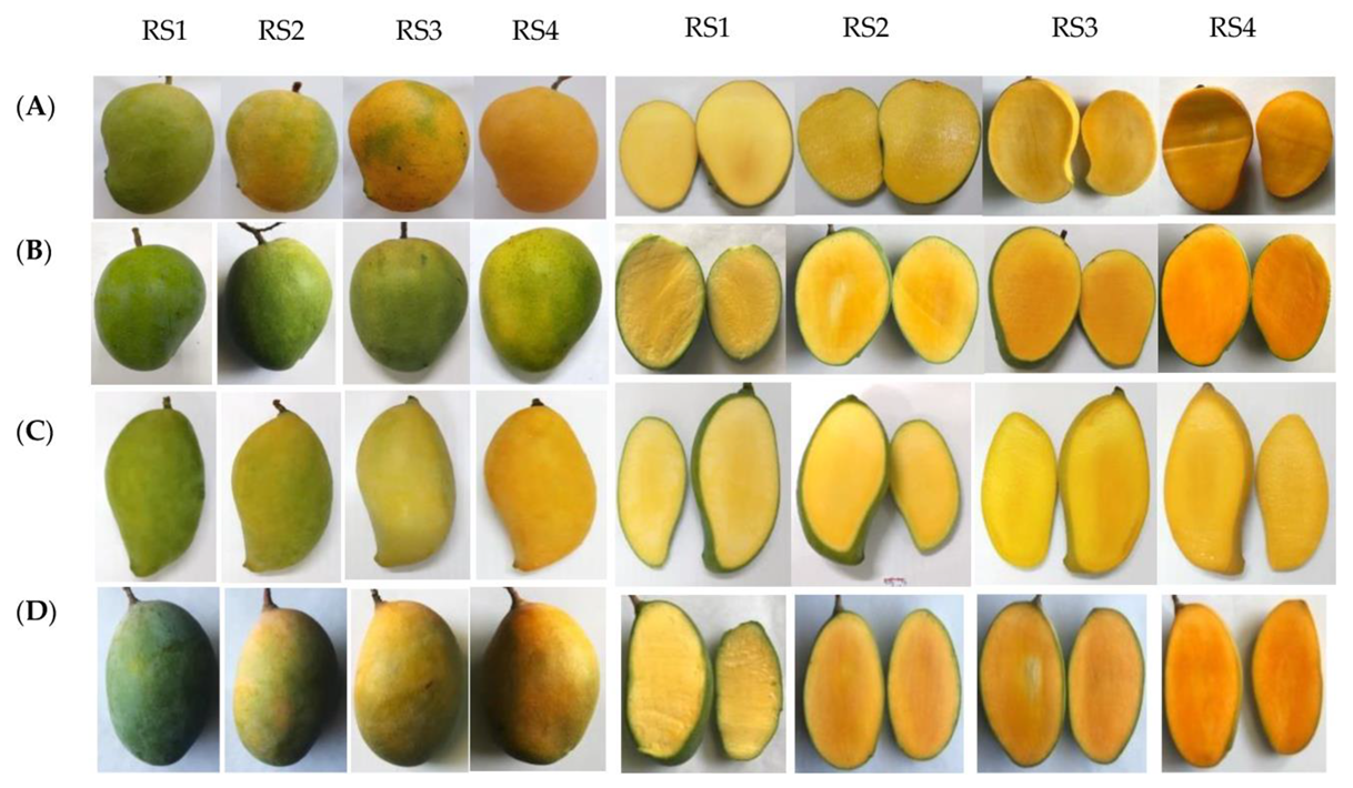 Types Of Mango