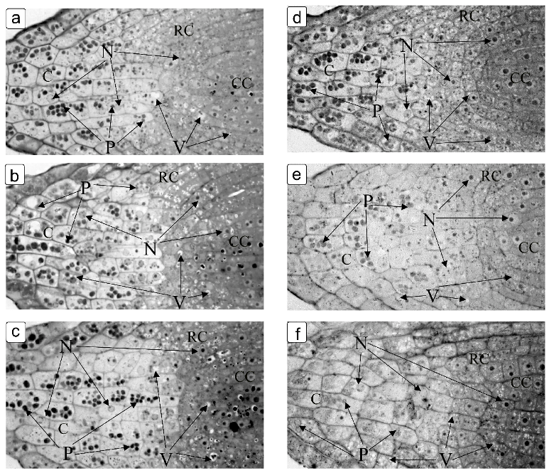 Ijpb 14 00010 g004 Ijpb 14 00010 g004