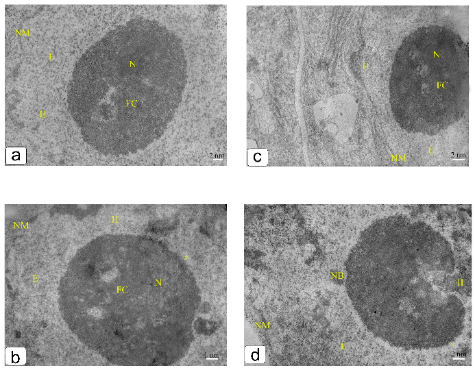 Ijpb 14 00010 g007 Ijpb 14 00010 g007