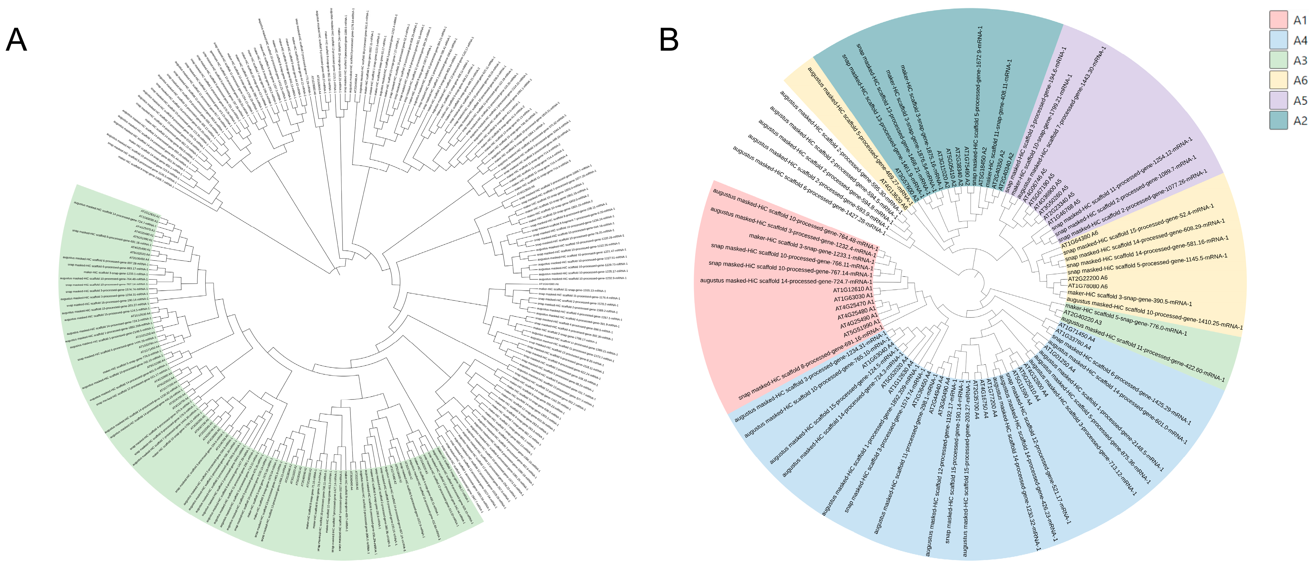 Ijpb 14 00019 g001 Ijpb 14 00019 g001