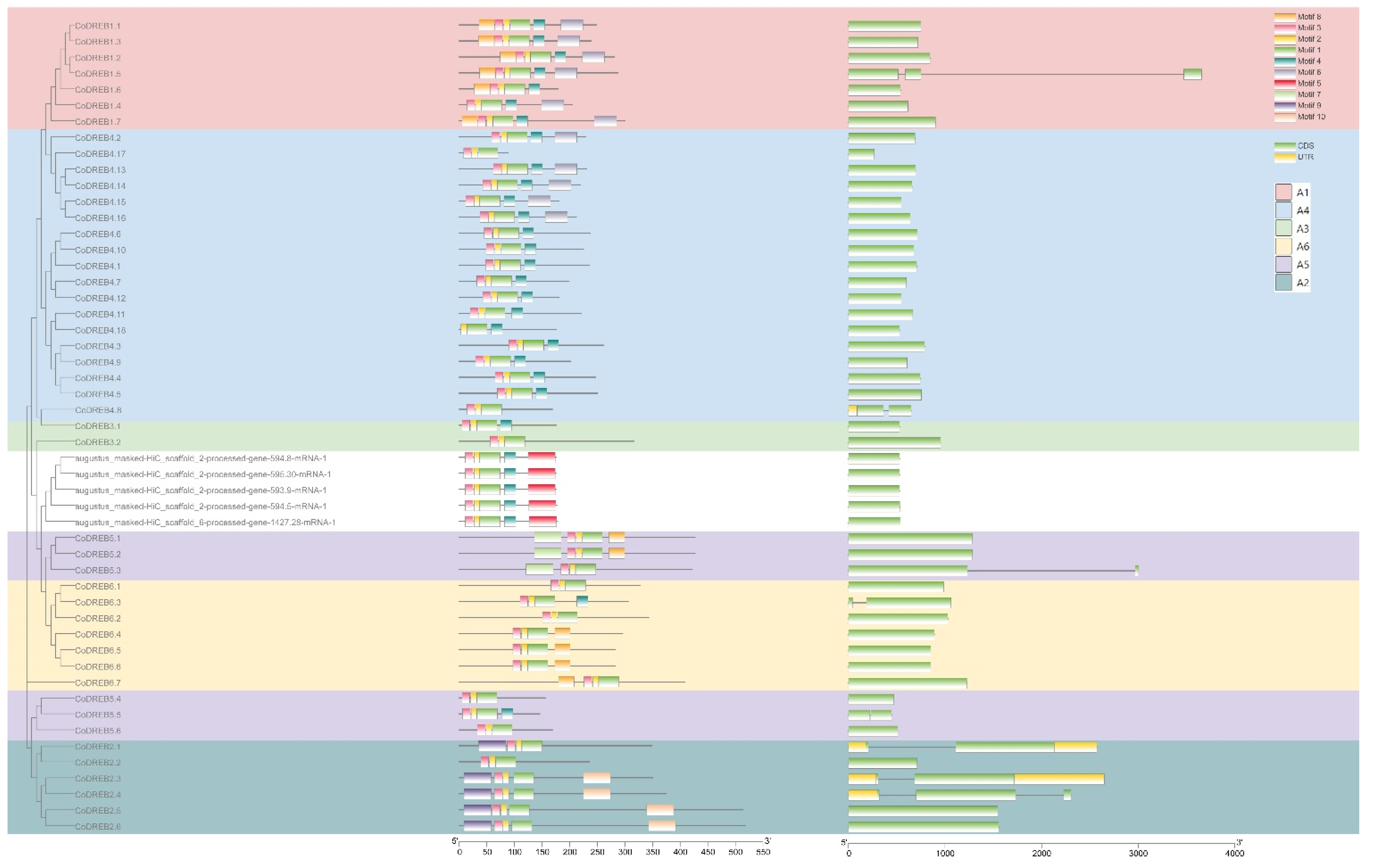 Ijpb 14 00019 g002 Ijpb 14 00019 g002