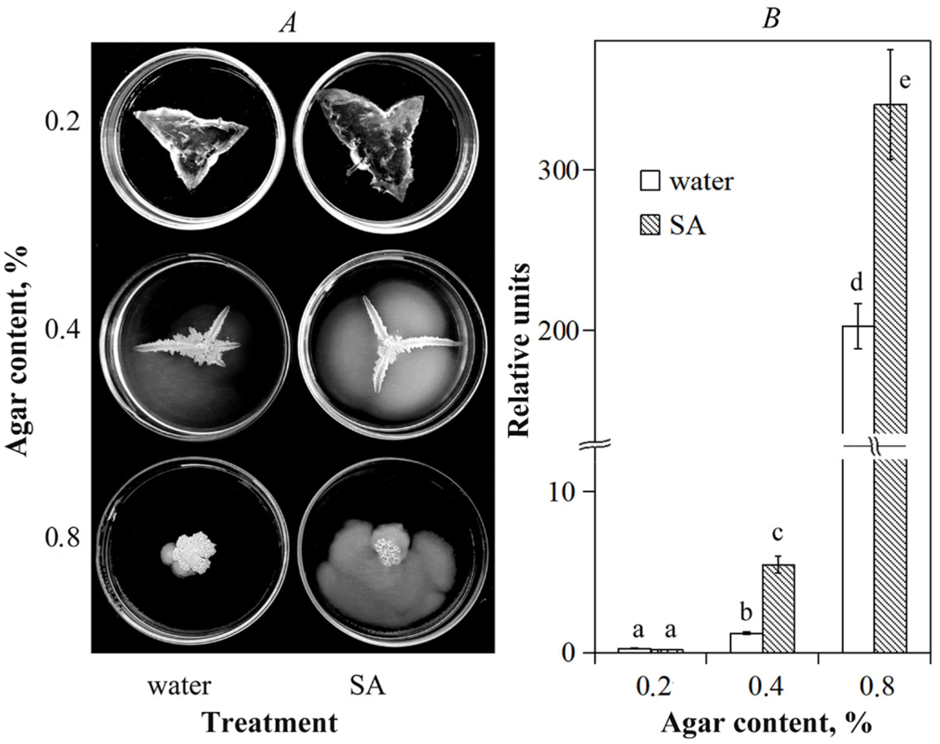 Ijpb 14 00020 g001 Ijpb 14 00020 g001