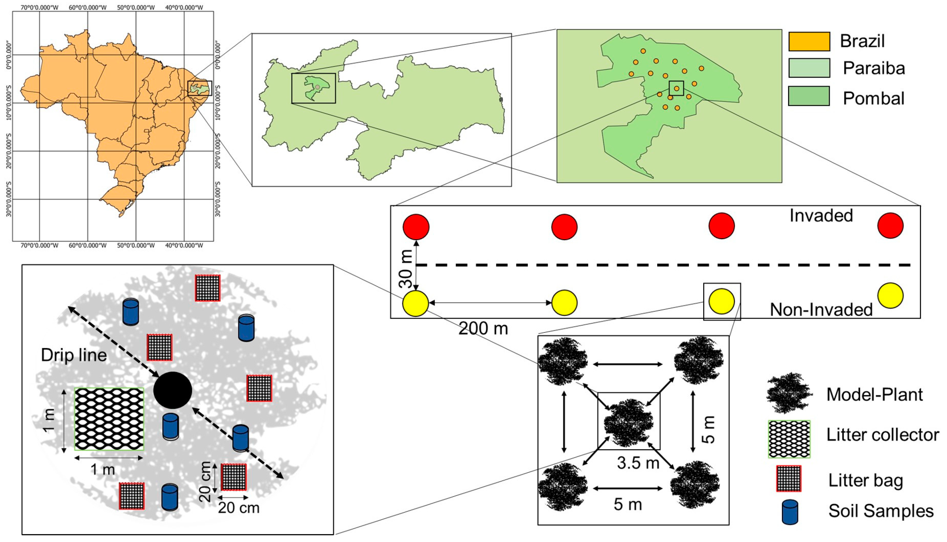 Ijpb 14 00021 g001 Ijpb 14 00021 g001