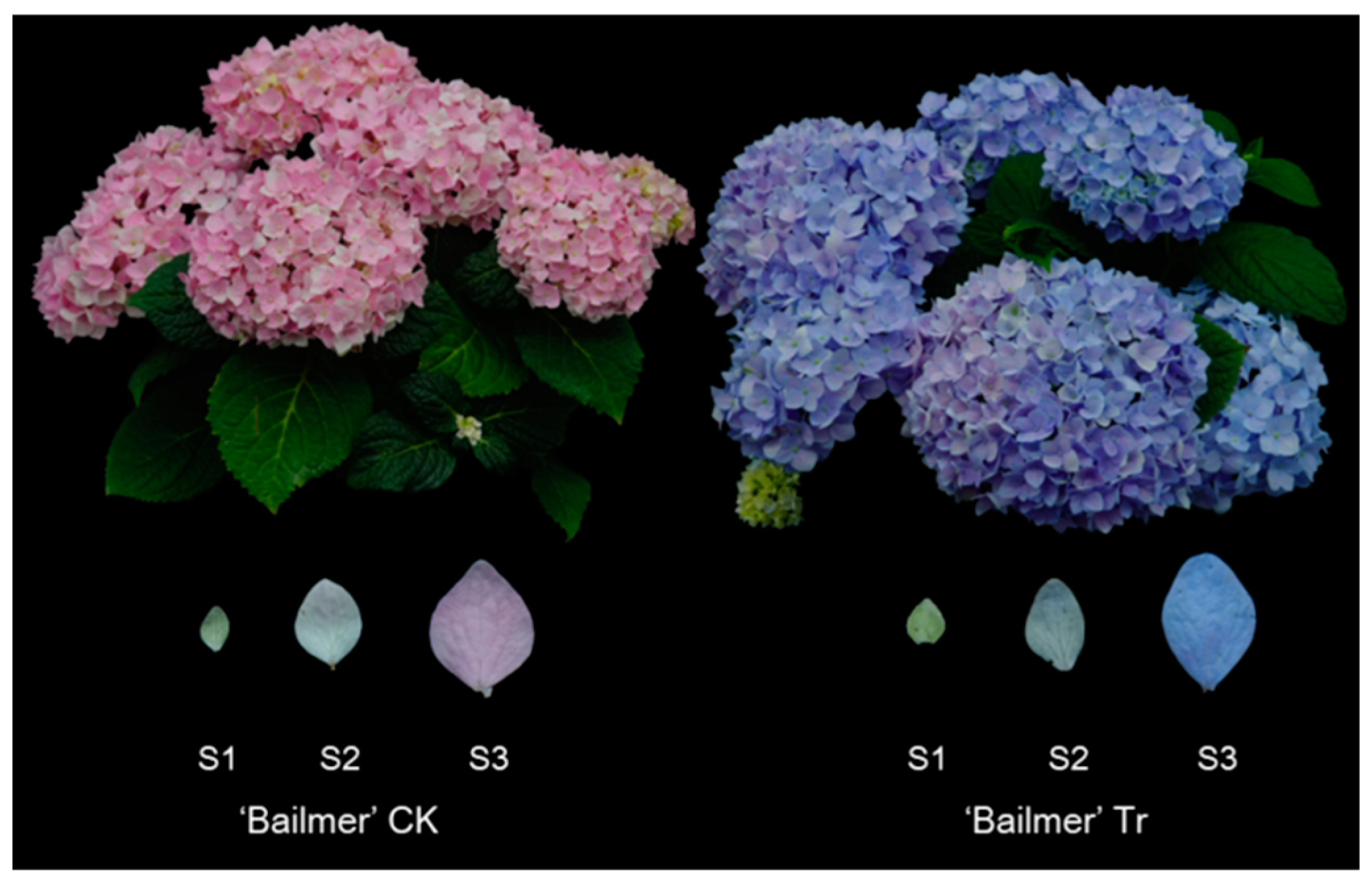 Ijpb 14 00022 g001 Ijpb 14 00022 g001