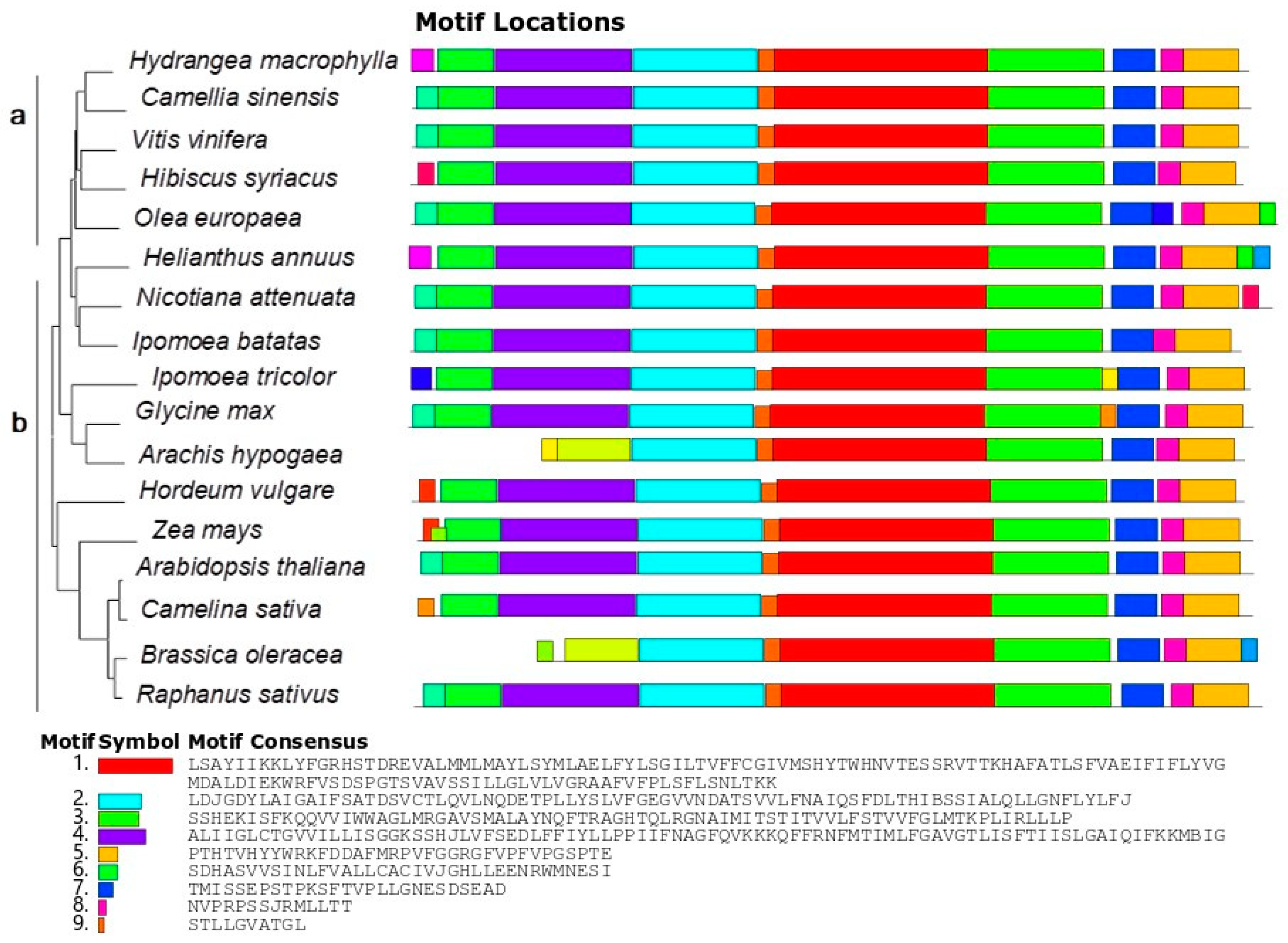 Ijpb 14 00022 g002 Ijpb 14 00022 g002