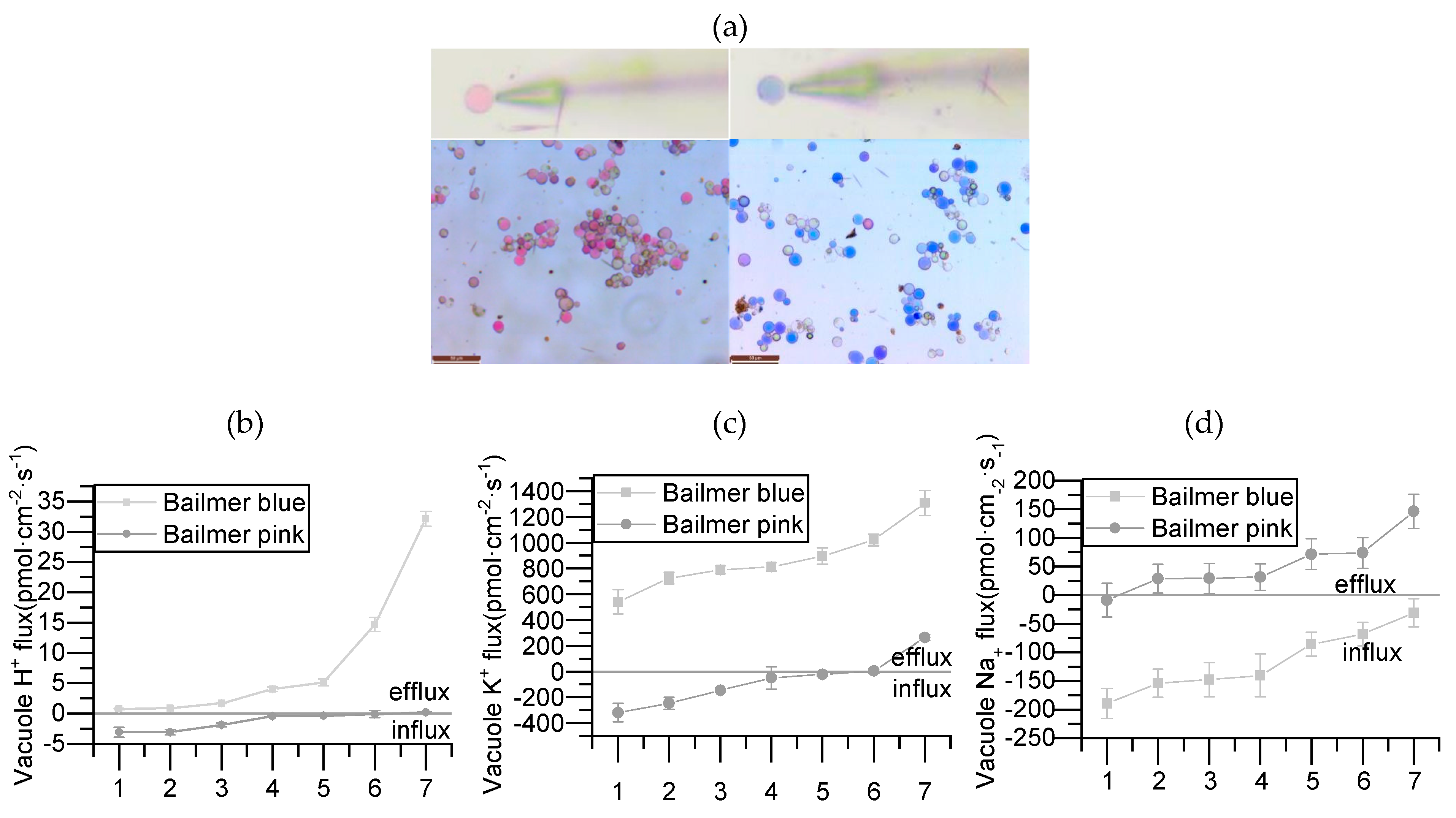 Ijpb 14 00022 g004 Ijpb 14 00022 g004