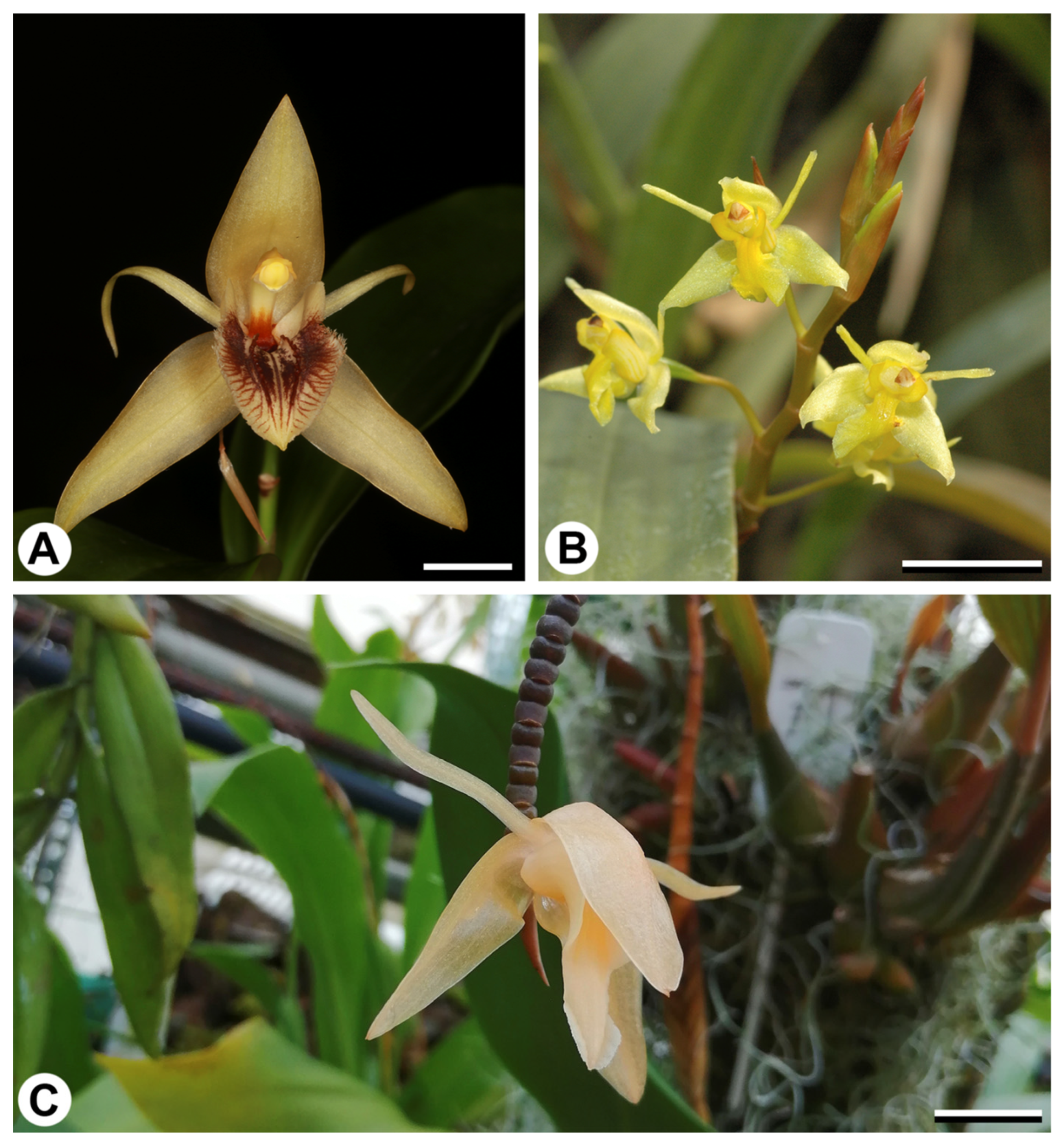 Ijpb 14 00024 g001 Ijpb 14 00024 g001