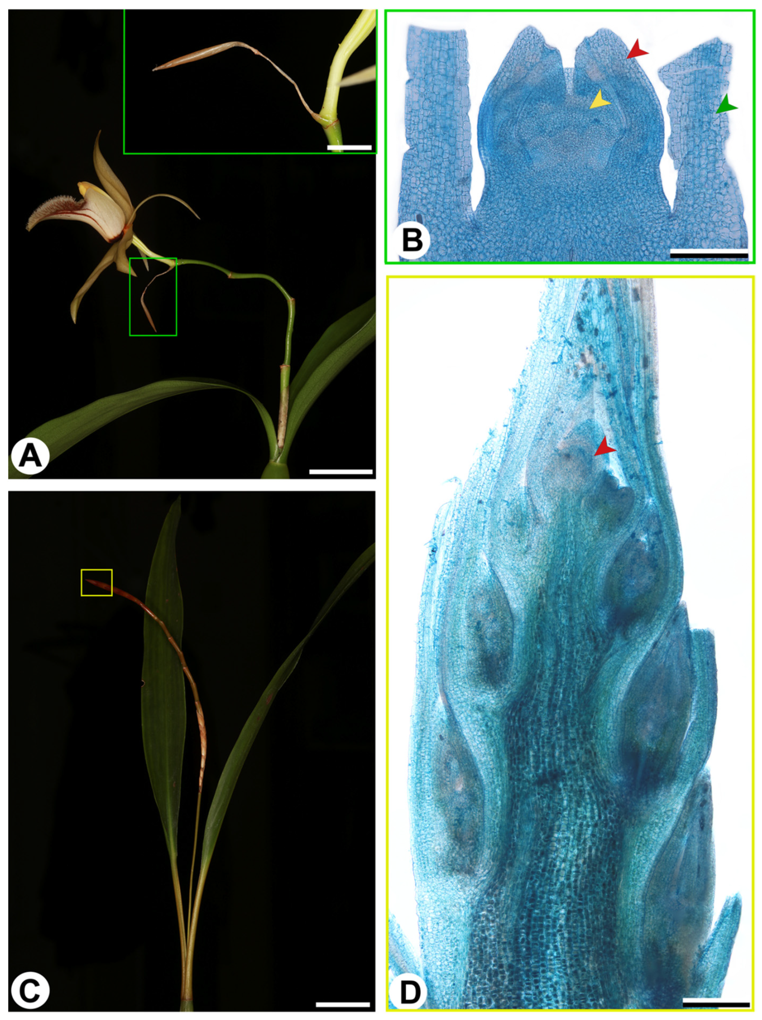 Ijpb 14 00024 g002 Ijpb 14 00024 g002