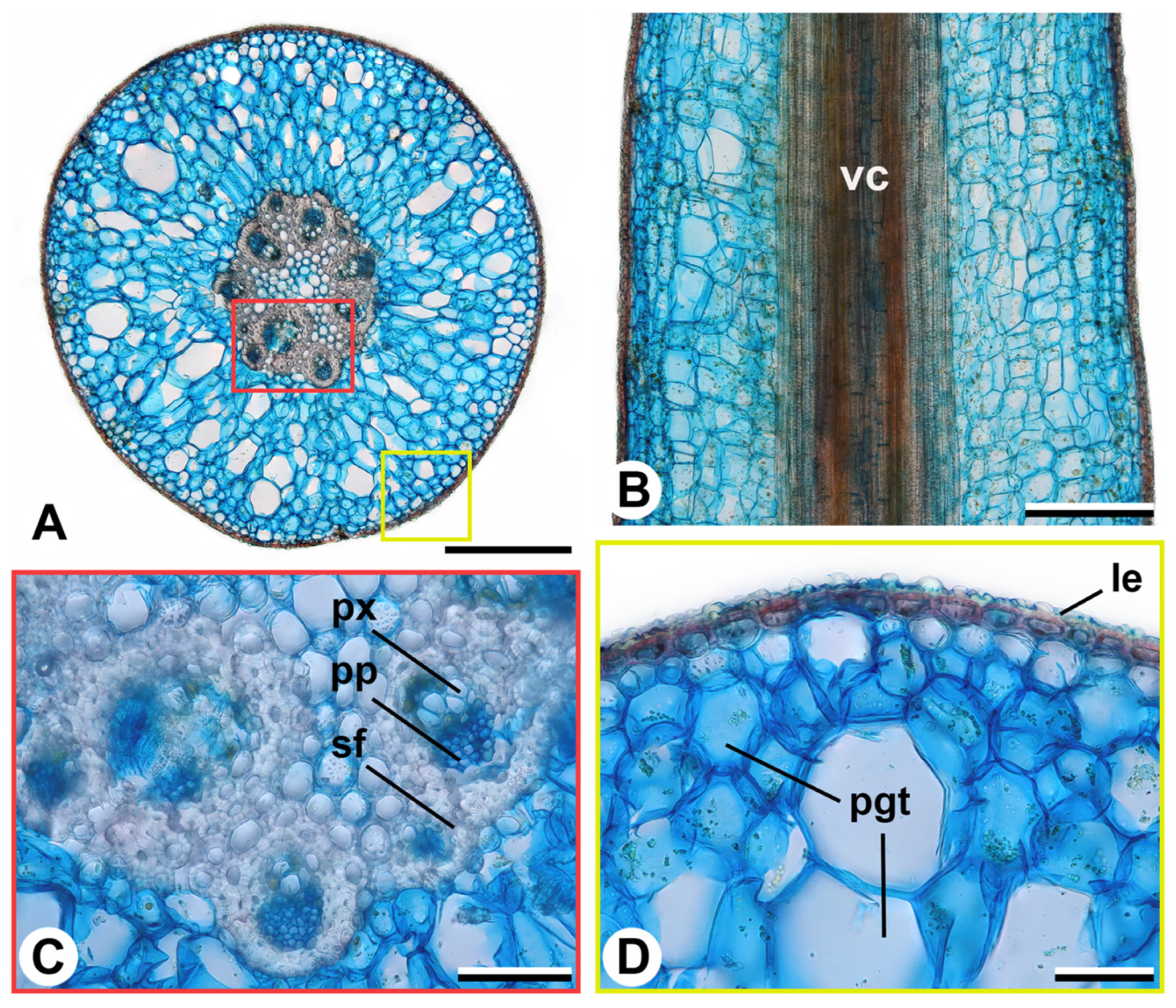 Ijpb 14 00024 g004 Ijpb 14 00024 g004